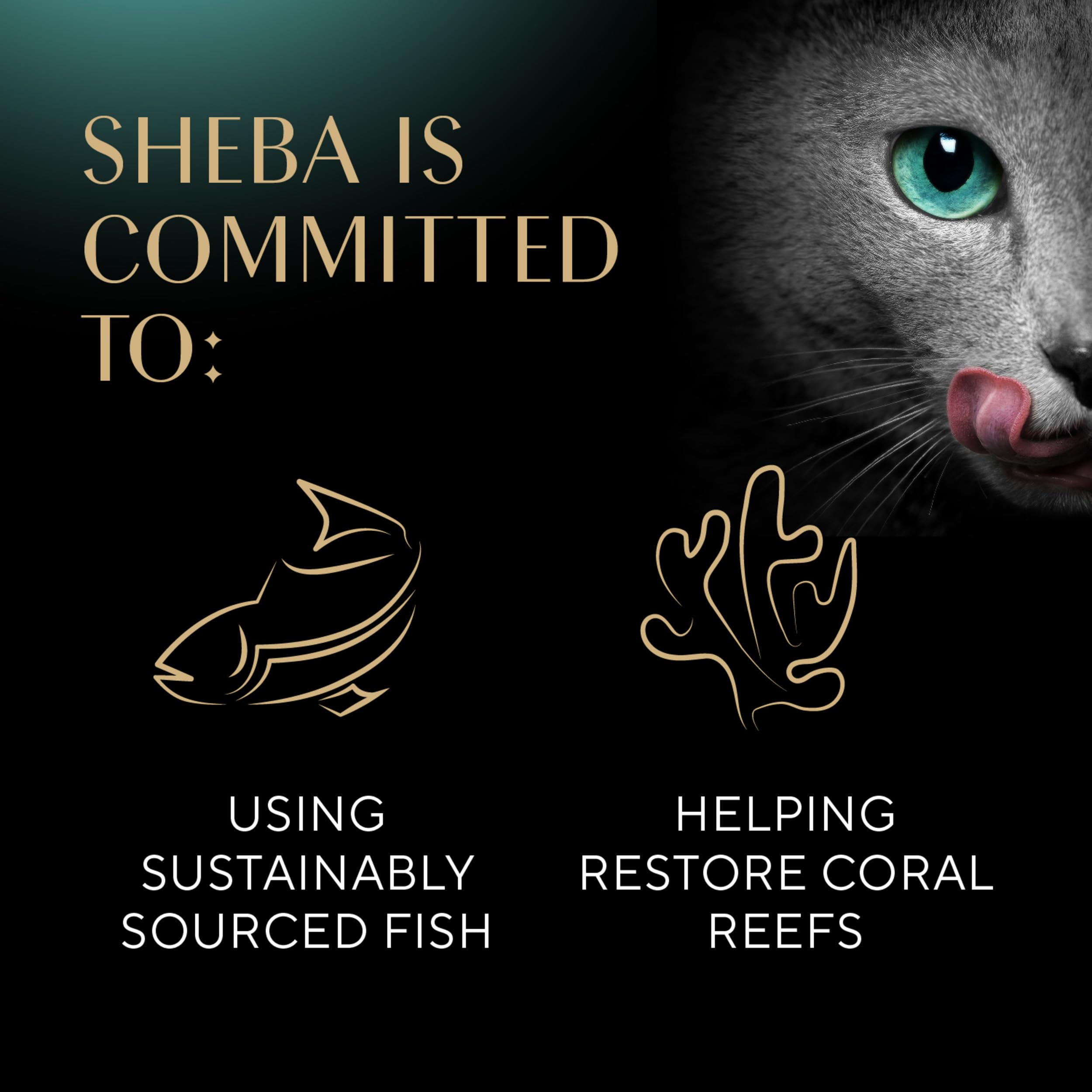Sheba Perfect Portions Wet Cat Food Pate with Sustainable Salmon and Tender Whitefish & Tuna Entree Variety Pack, 2.6 oz., Twin-