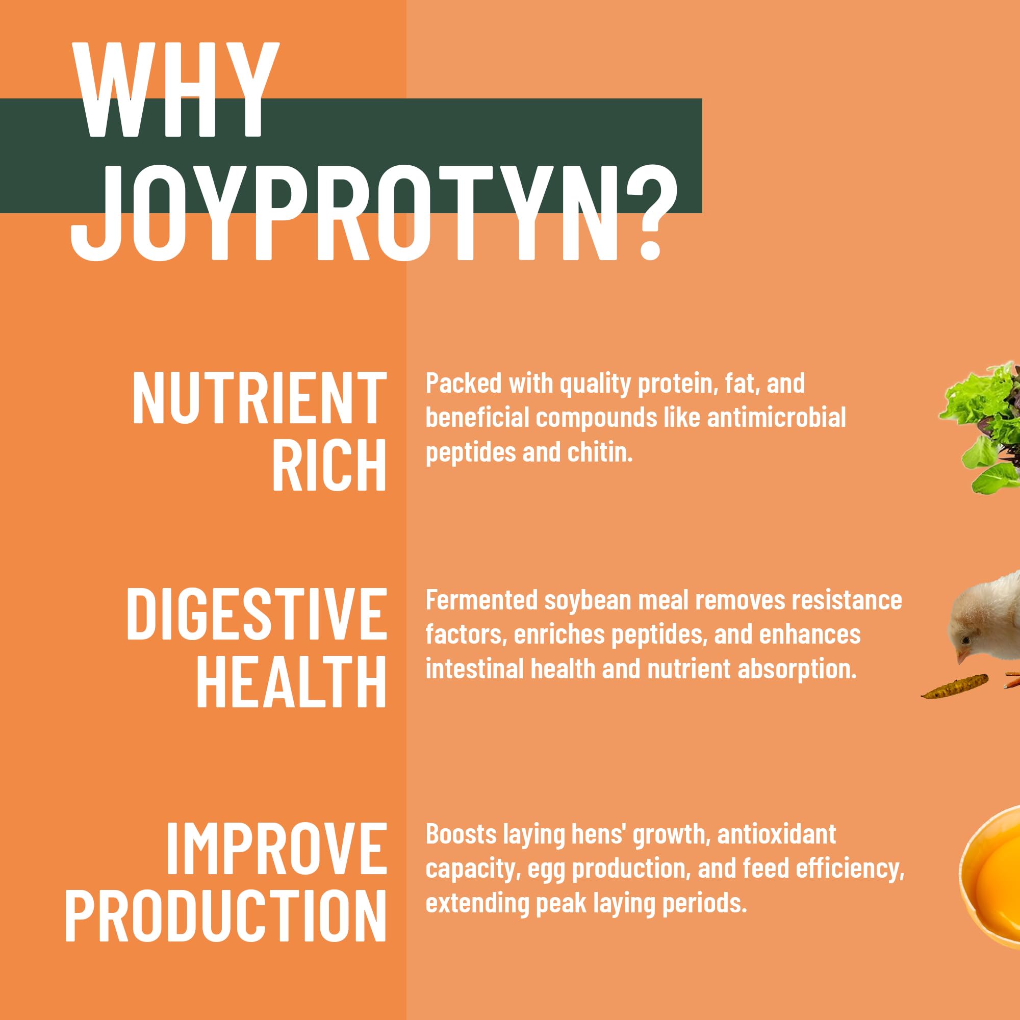 Joyprotyn 5LB Non-GMO Dried Black Soldier Fly Larvae for Chicken - 85X More Calcium Grubs Than Mealworms for Strong Eggshells &