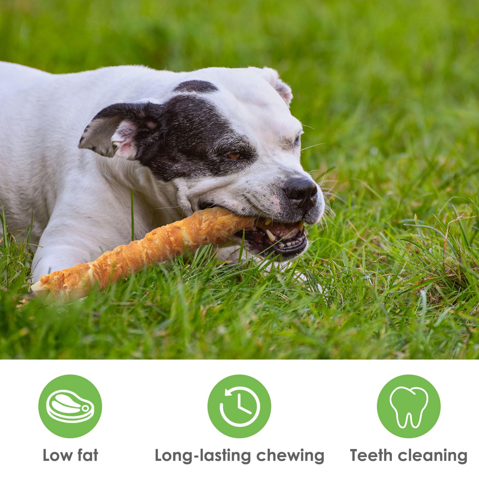 MON2SUN Dog Treats, 9 Inch Chicken Wrapped Rawhide Rolls Snacks, Teeth Cleaning and Long Lasting Chews for Medium and Large Dogs