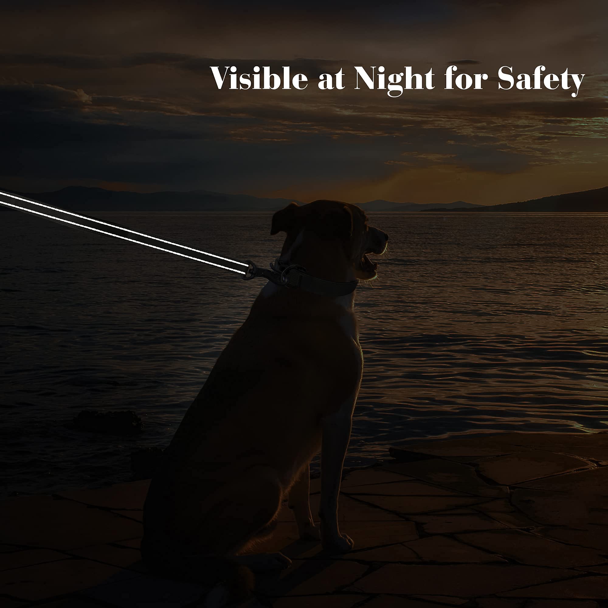 Petifine 5Ft Heavy Duty Dog Leash With Soft Padded Double Handle, Durable Strong Clasp Dog Leashes, Reflective Nylon Walking Lead For Large,Medium,Small Breed Dogs, Rose