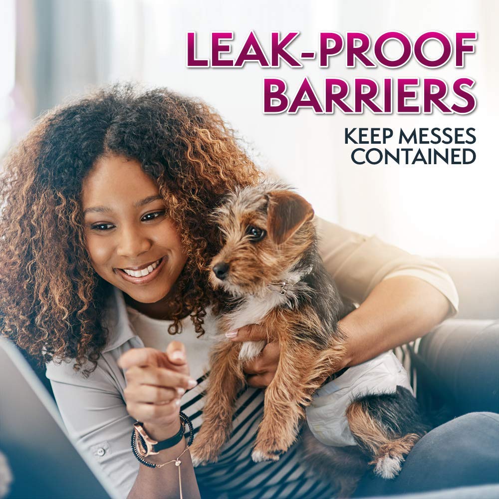 Simple Solution Disposable Dog Diapers for Female Dogs | Super Absorbent Leak-Proof Fit | Females in Heat, Excitable Urination,