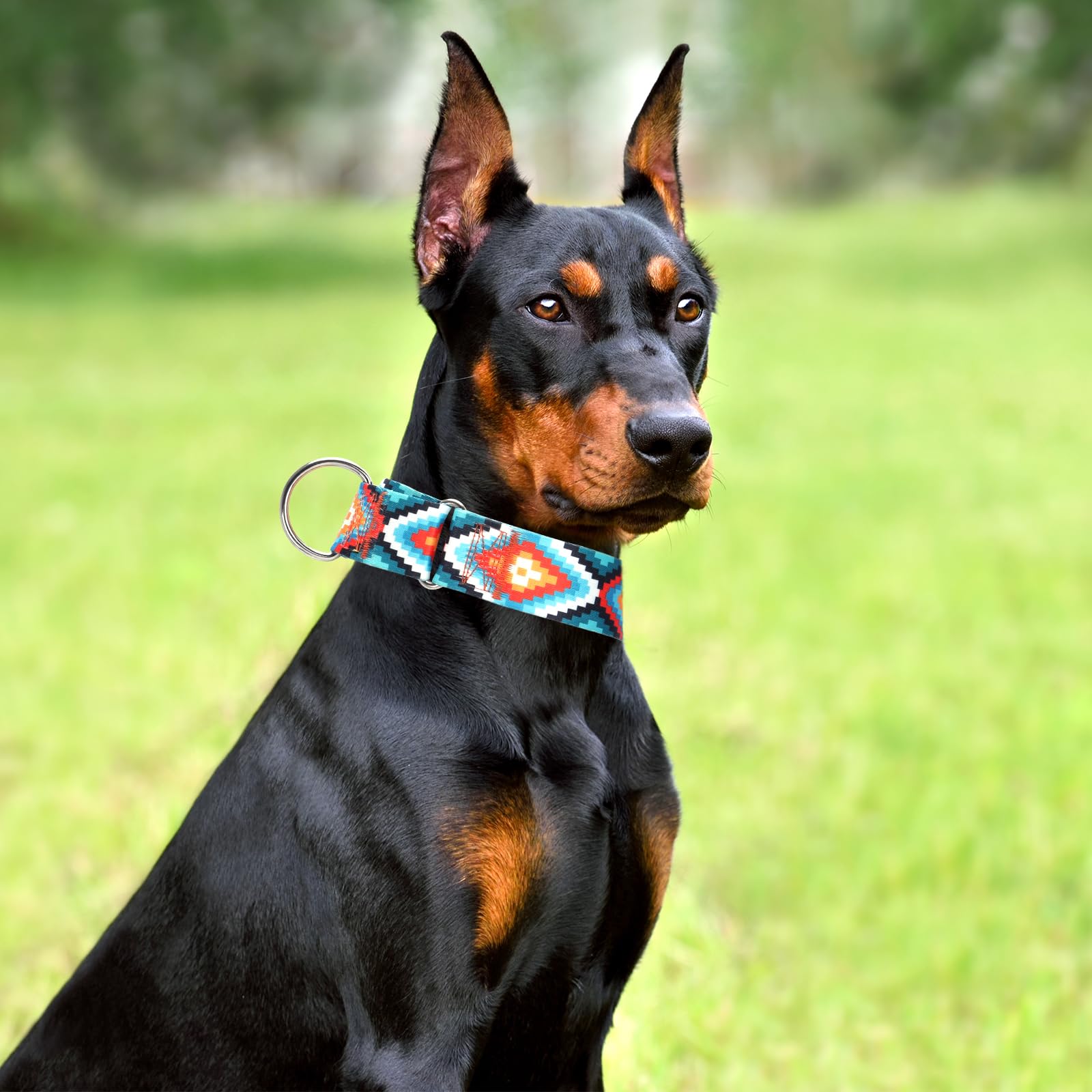 1.5 Inches Martingale Collar For Dogs,Adjustable Heavy Duty Training Collars With Blue African Tribal Mexican Native Boho Patter