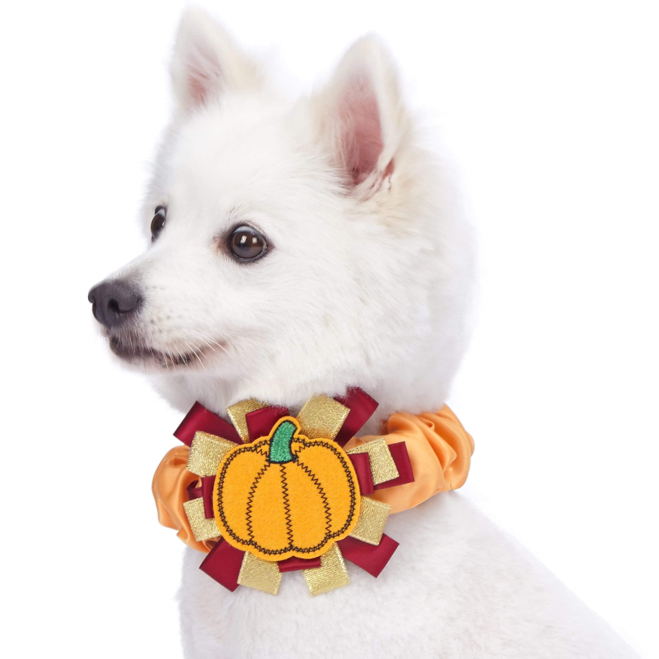 Blueberry Pet Thanksgiving Fall Charm Pumpkin Dog Collar Cover, Festive Accessory for Small to Large Dog Collars, Perfect for Do