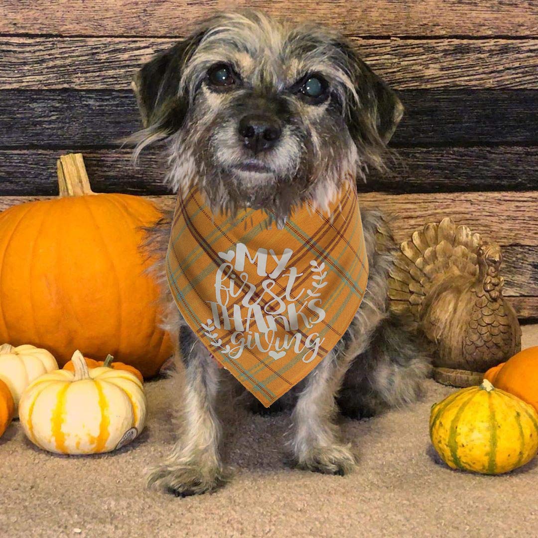 Pawskido First Thanksgiving Dog Bandana