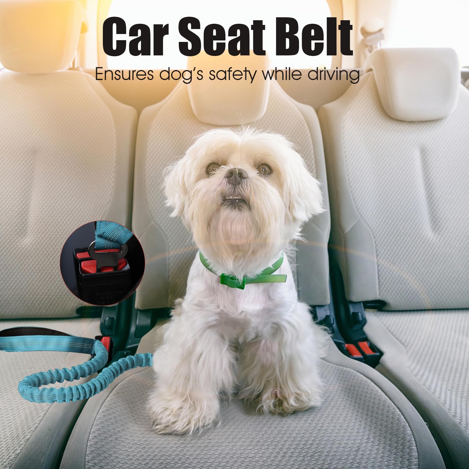 BUMBIN 6Ft Bungee Leash With 2 Handles for Large, Medium, Small Dogs - Heavy Duty, No Pull, Shock Absorbing With Car Seat Belt f