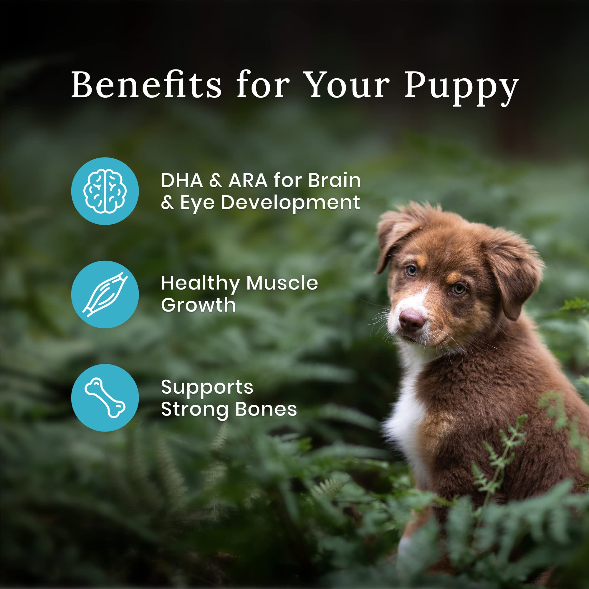 Blue Buffalo Wilderness High-Protein Natural Dry Food for Puppies, Chicken Recipe, 4.5-lb. Bag