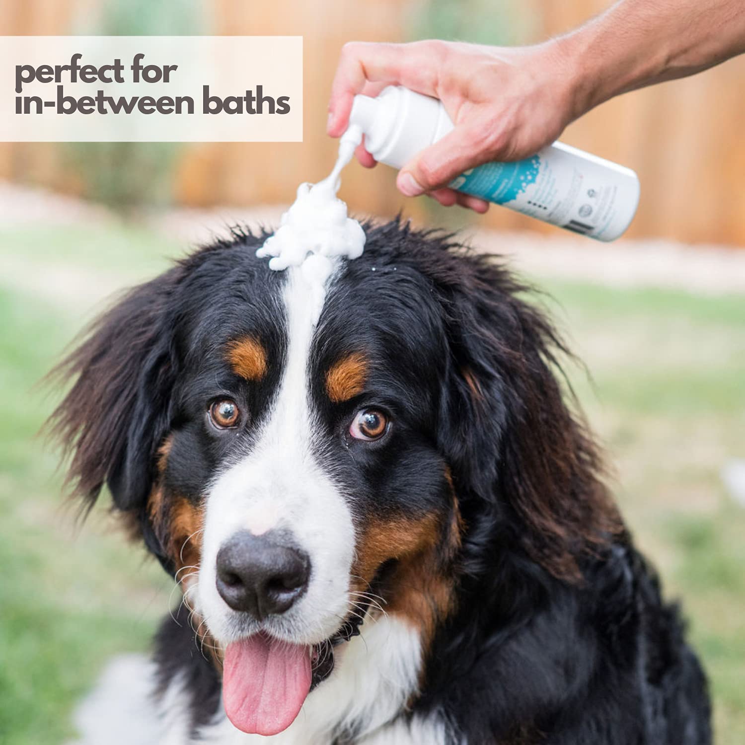Mighty Mutt Waterless Foam Shampoo for Dogs | Dry Shampoo for Dogs No Rinse | Deodorizes Smelly Dogs | Soothing & Anti-Itch | Hy