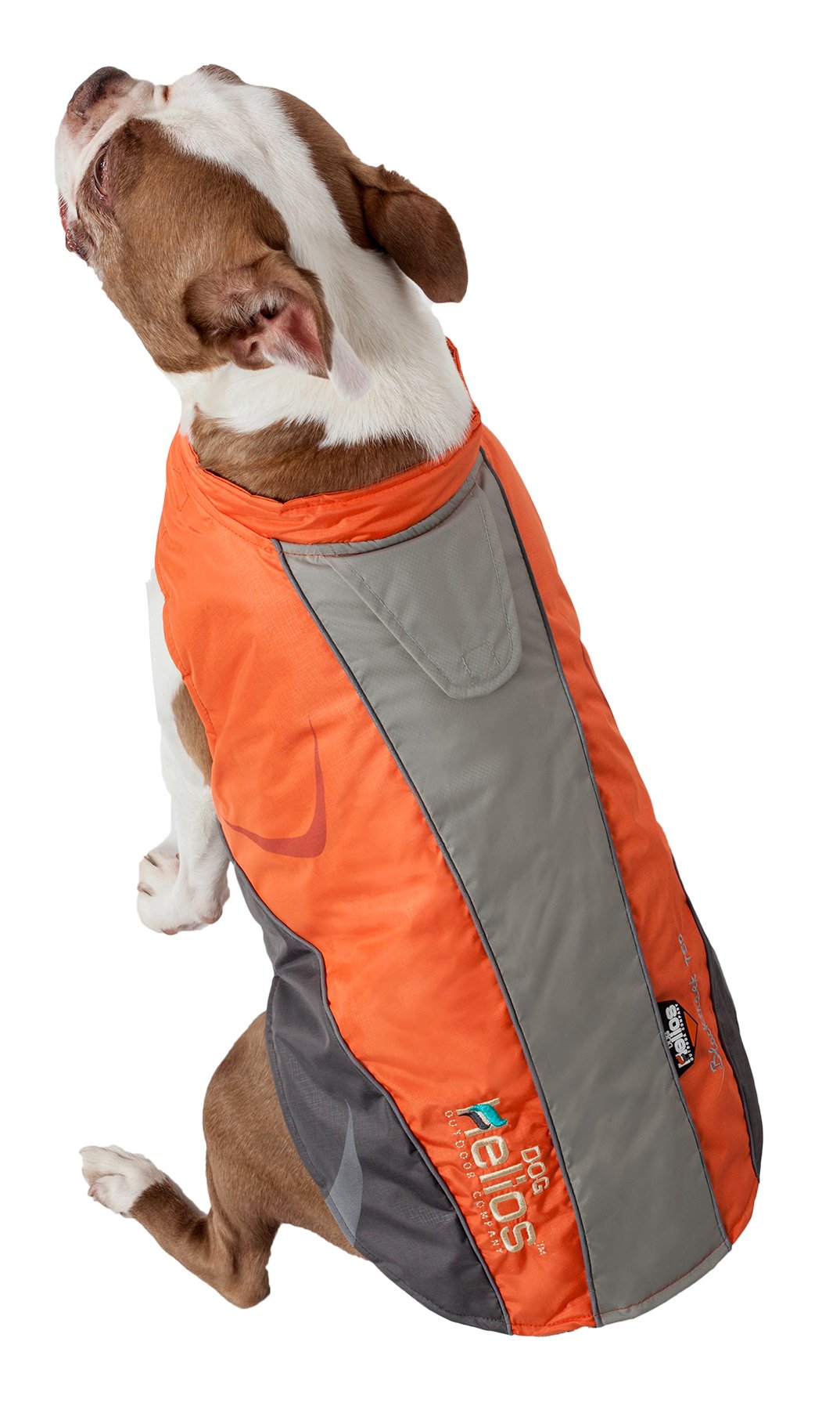 DOGHELIOS Altitude-Mountaineer Wrap-hook and loop Protective Waterproof Pet Dog Coat Jacket w/ Blackshark Technology, X-Small,