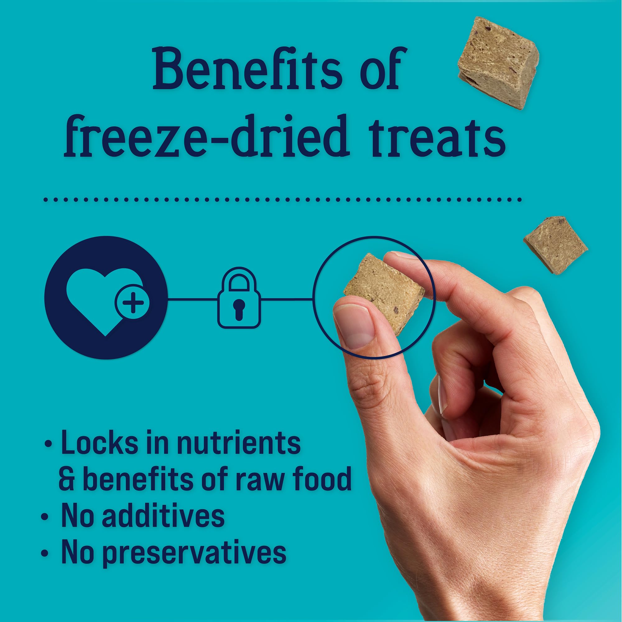 Stewart Freeze Dried Beef Liver Treats Resalable Pouch