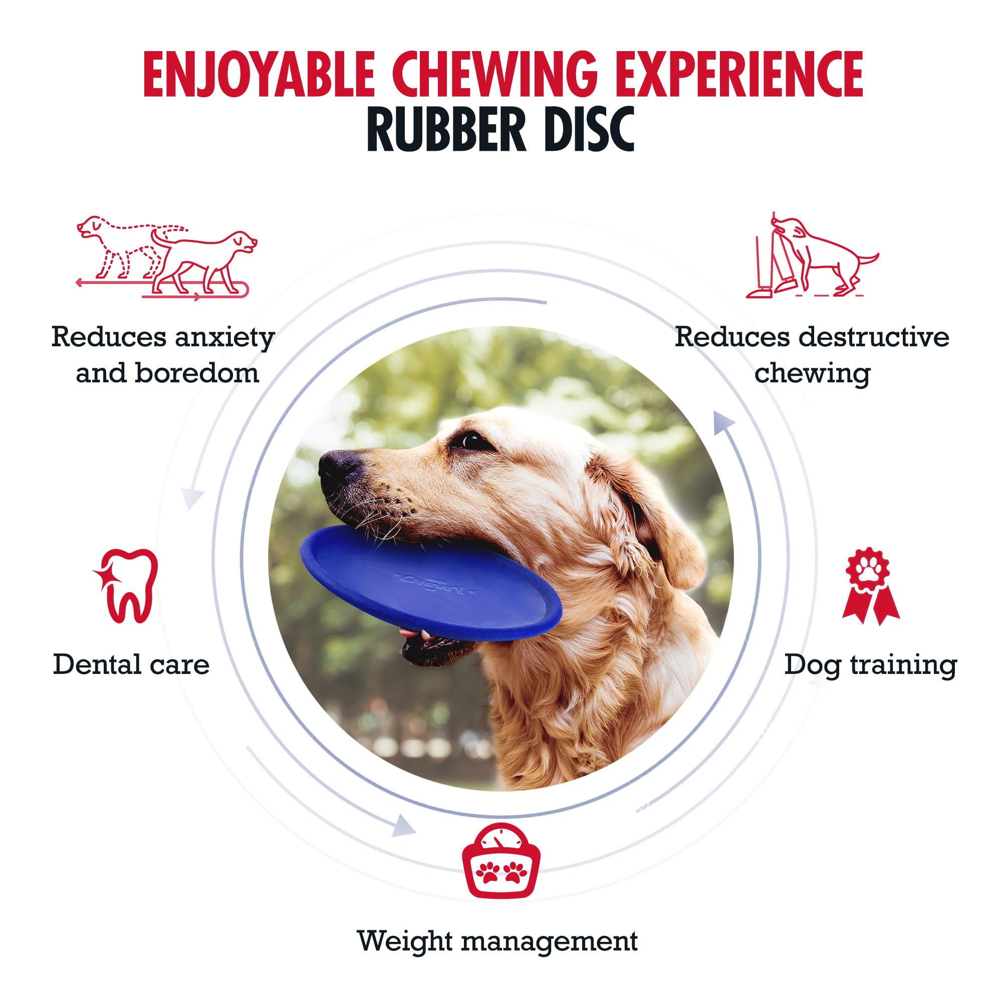 SuperChewy Tough Flying Disc Toy | Lifetime Replacement | Strong Natural Rubber | Great Dog Fetch Toys | Rubber Disc Toy for Dog
