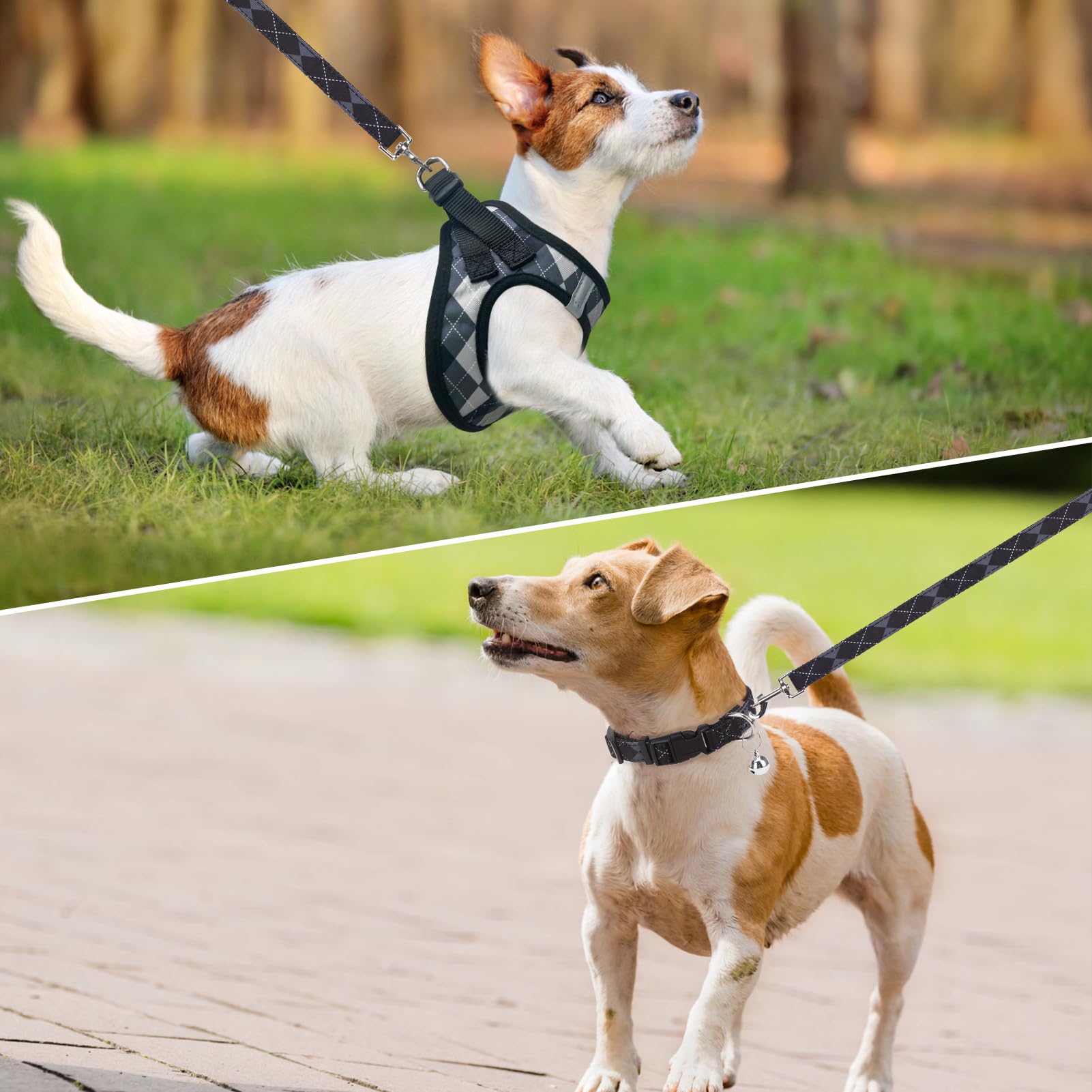 Scenereal Dog Harness Collar And Leash Set, Step-In No Pull Pet Vest Harnesses For Small Medium Dogs Puppy Cats, Soft Mesh No-Ch