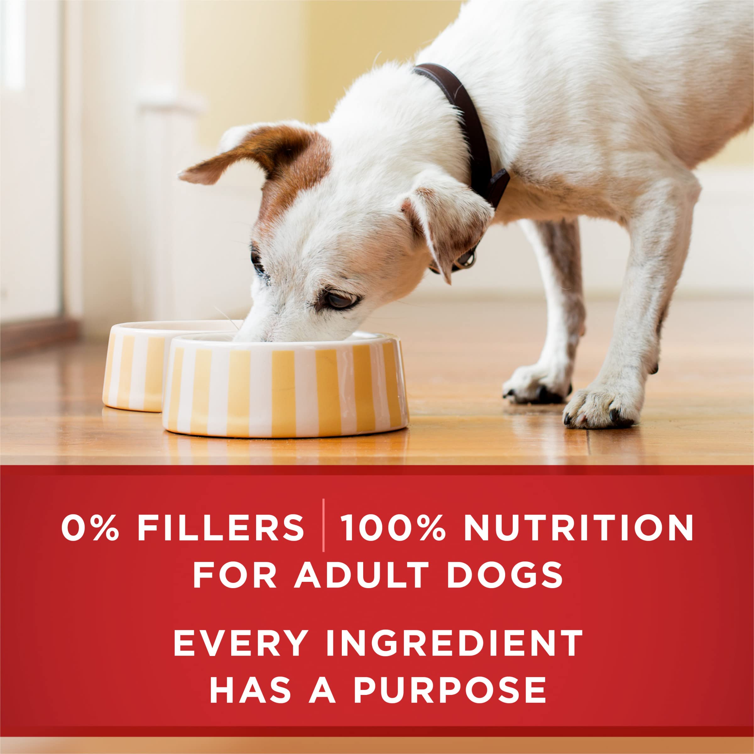 Purina ONE Classic Ground Chicken and Brown Rice, and Beef and Brown Rice Entrees Wet Dog Food Variety Pack - (Pack of 6) 13 oz.