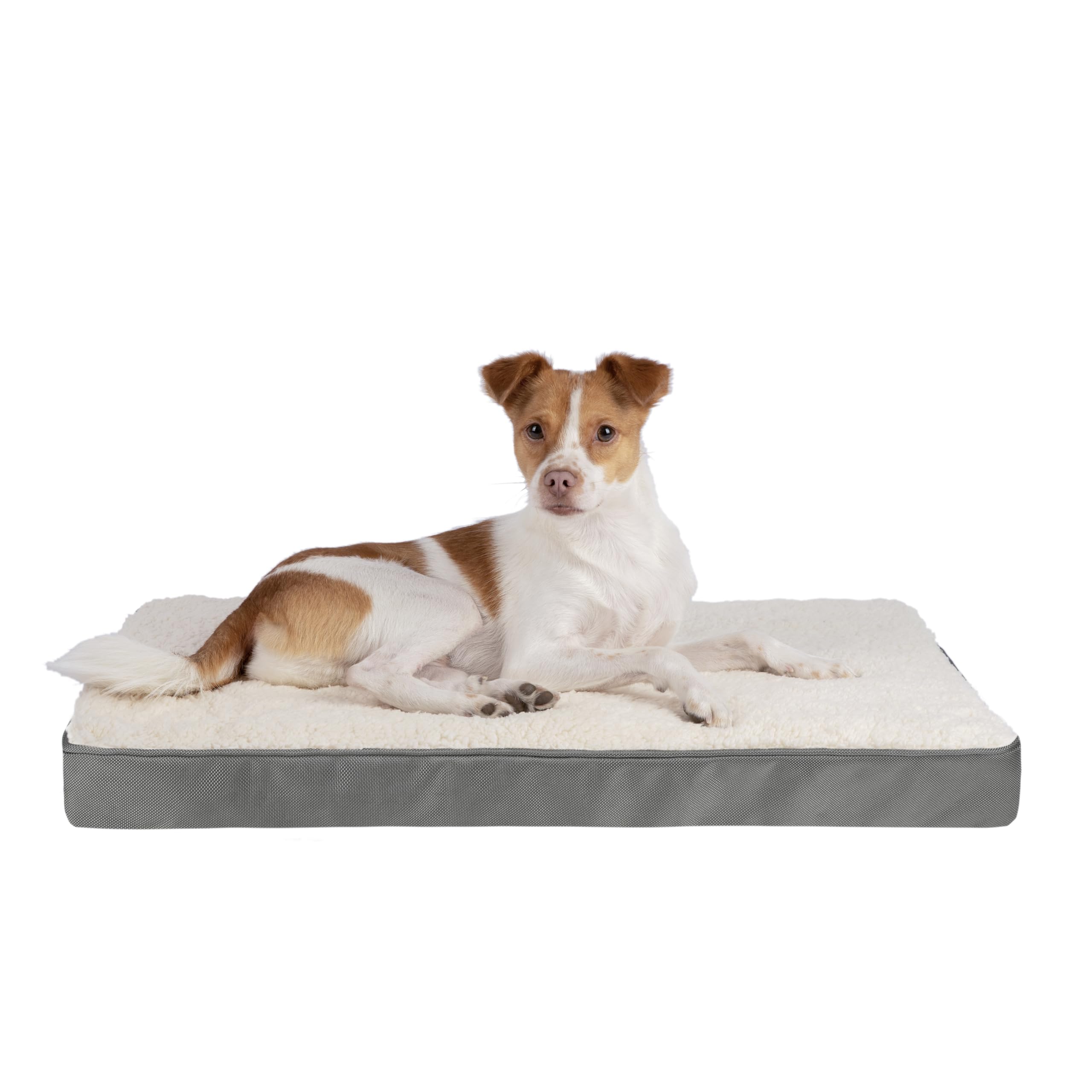 Best Pet Supplies Cute Dog Crate Mat Flat Bed With Waterproof Exterior, Thick Orthopedic Egg Foam Mattress, And Soft Sherpa Flee