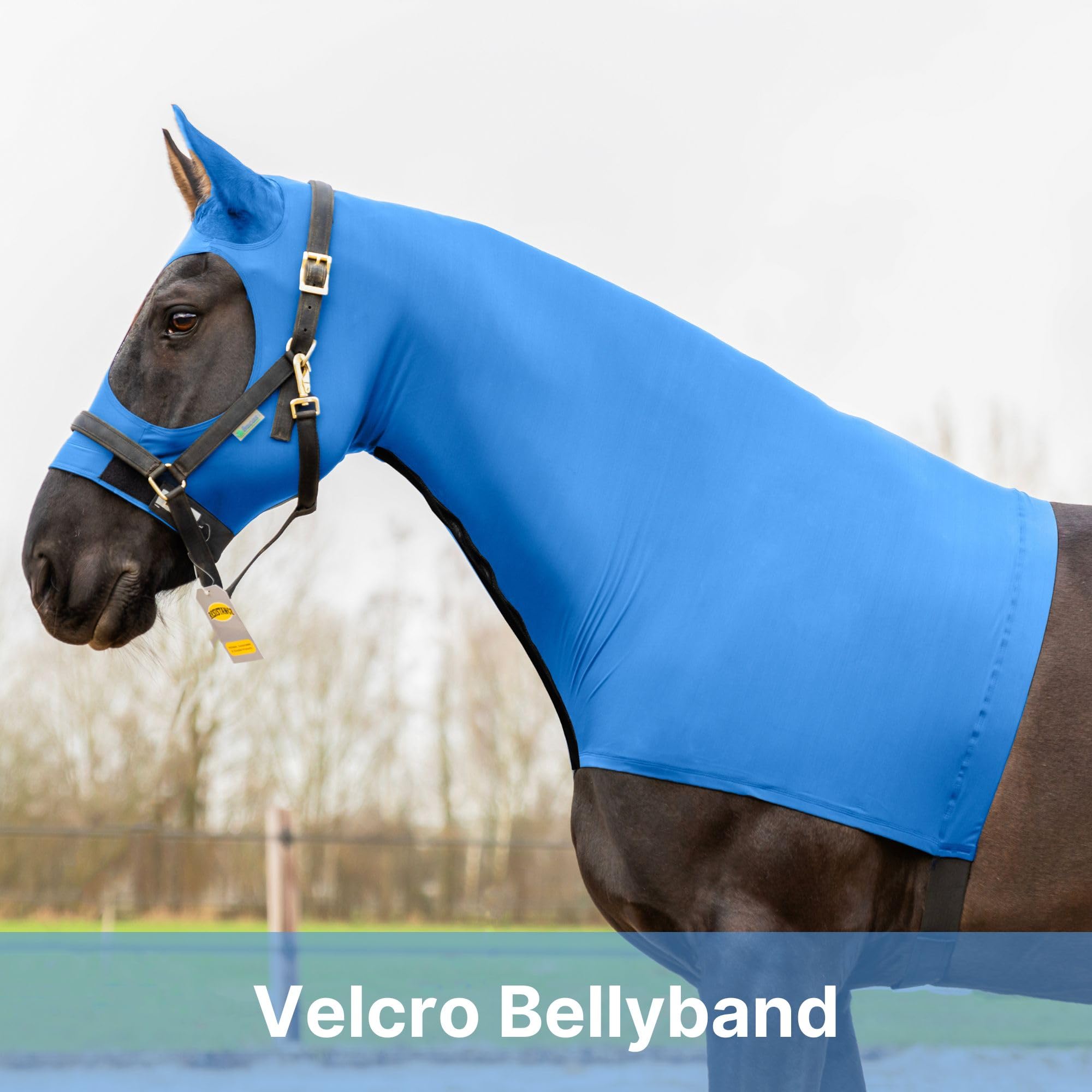 Resistance Horse Hood Slinky Spandex Zippered Mane Braid Shoulder Guard - Horse Sleazy Slickers Care Sheet