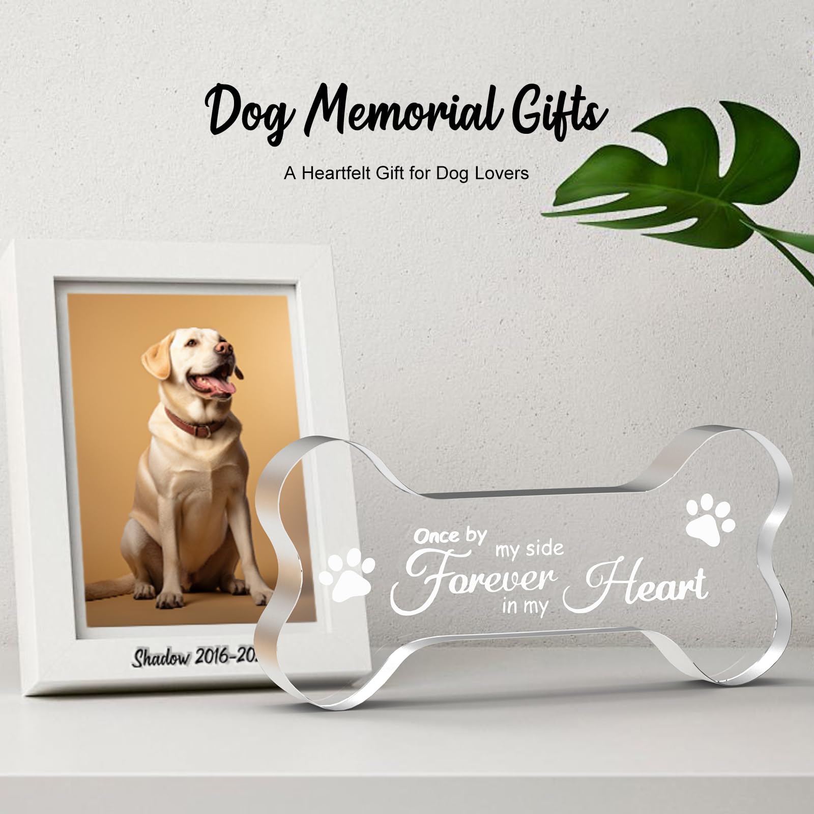 Crystal Glass Dog Memorial Gifts For Loss Of Dog, Pet Memorial Gift For Dogs, Loss Of Dog Sympathy Gift For Dog Owner, Pet Berea