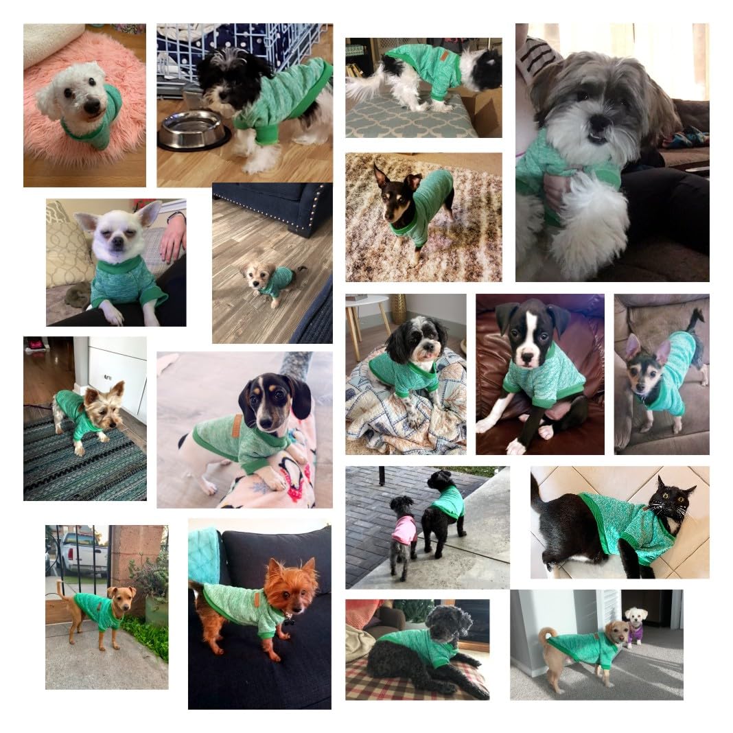 Chborless Pet Dog Classic Knitwear Sweater Warm Winter Puppy Pet Coat Soft Sweater Clothing For Small Dogs (Xs, Green)