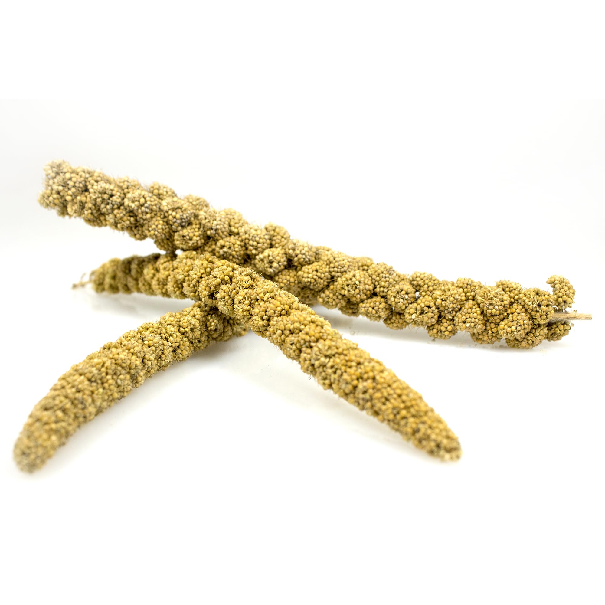 Sun Seed Company Bss10911 Small Bird Millet Spray Treats, 5-Pound