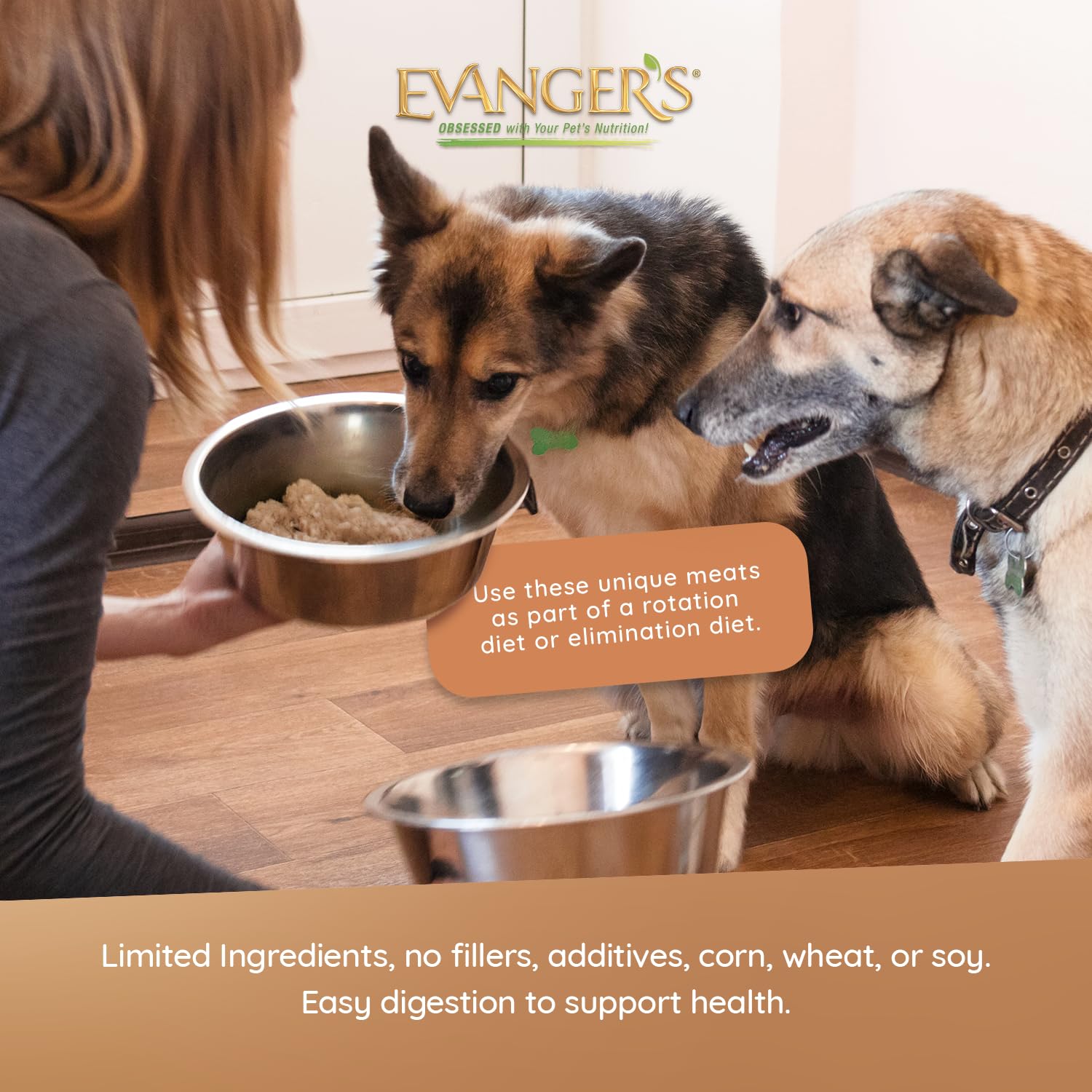 Evangers Complements Sweet Potato for Dogs & Cats - 12, 12.5 oz Cans