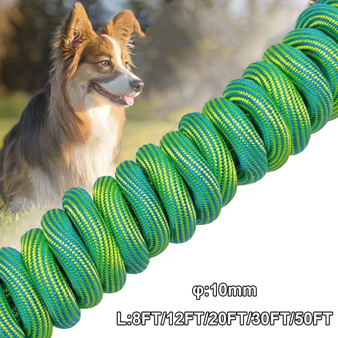 Btinesful 8Ft/12Ft/20Ft/30Ft/50Ft/75Ft Dog Tie-Out Long Tether Rope Dog Leash, Outdoor Dog Yard Leash- Large Medium Small Dogs Training, Playing, Camping, Backyard (Green, 12 Foot)