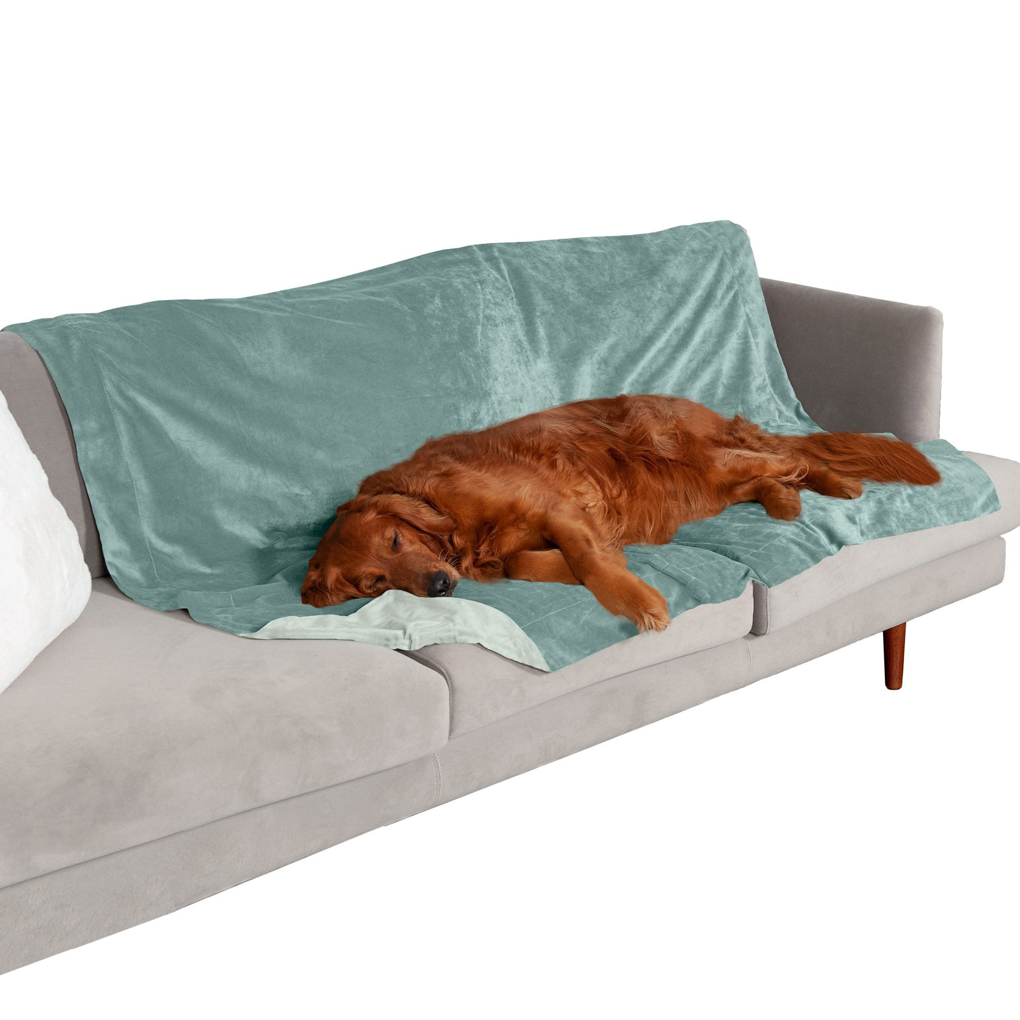 Furhaven Waterproof Throw Blanket For Dogs & Indoor Cats, Washable - Two-Tone Luxe Velvet Dog Blanket - Celadon Green, Extra Lar