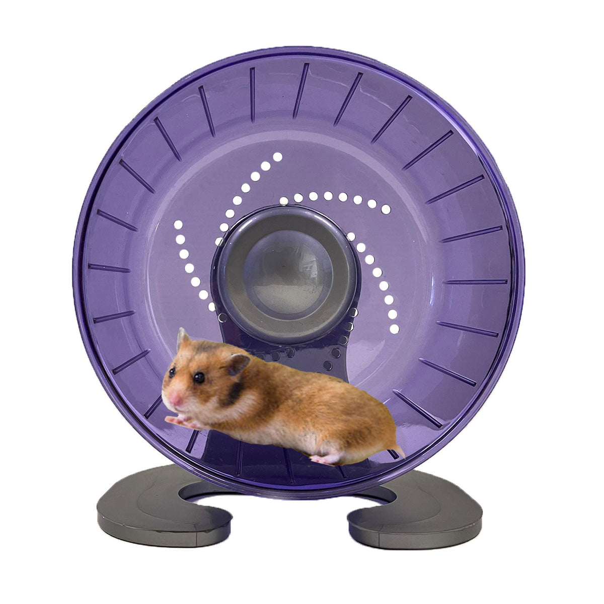 Petest Hamster Exercise Wheel, Silent Spinner Hamster Running Wheels, Diameter 6.7 Inch, Purple