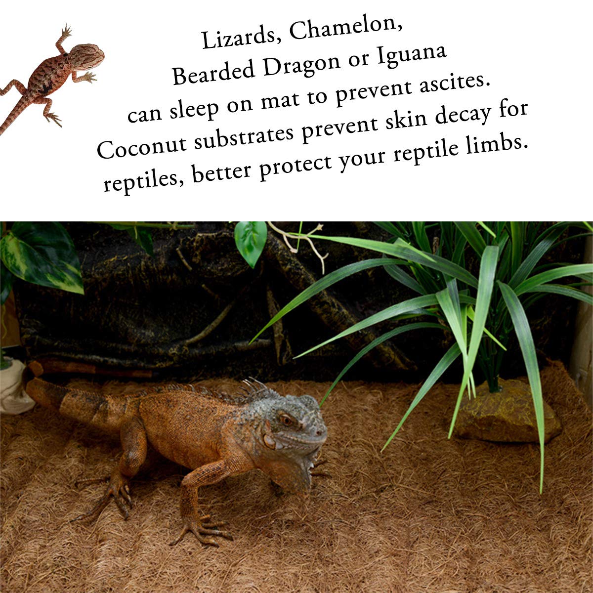 SISIPAI LIFE Reptile Carpet Natural Coconut Fiber, 36 x 18 Tortoise Carpet Mat for Pet Terrarium Liner, Reptile Bedding Supplies
