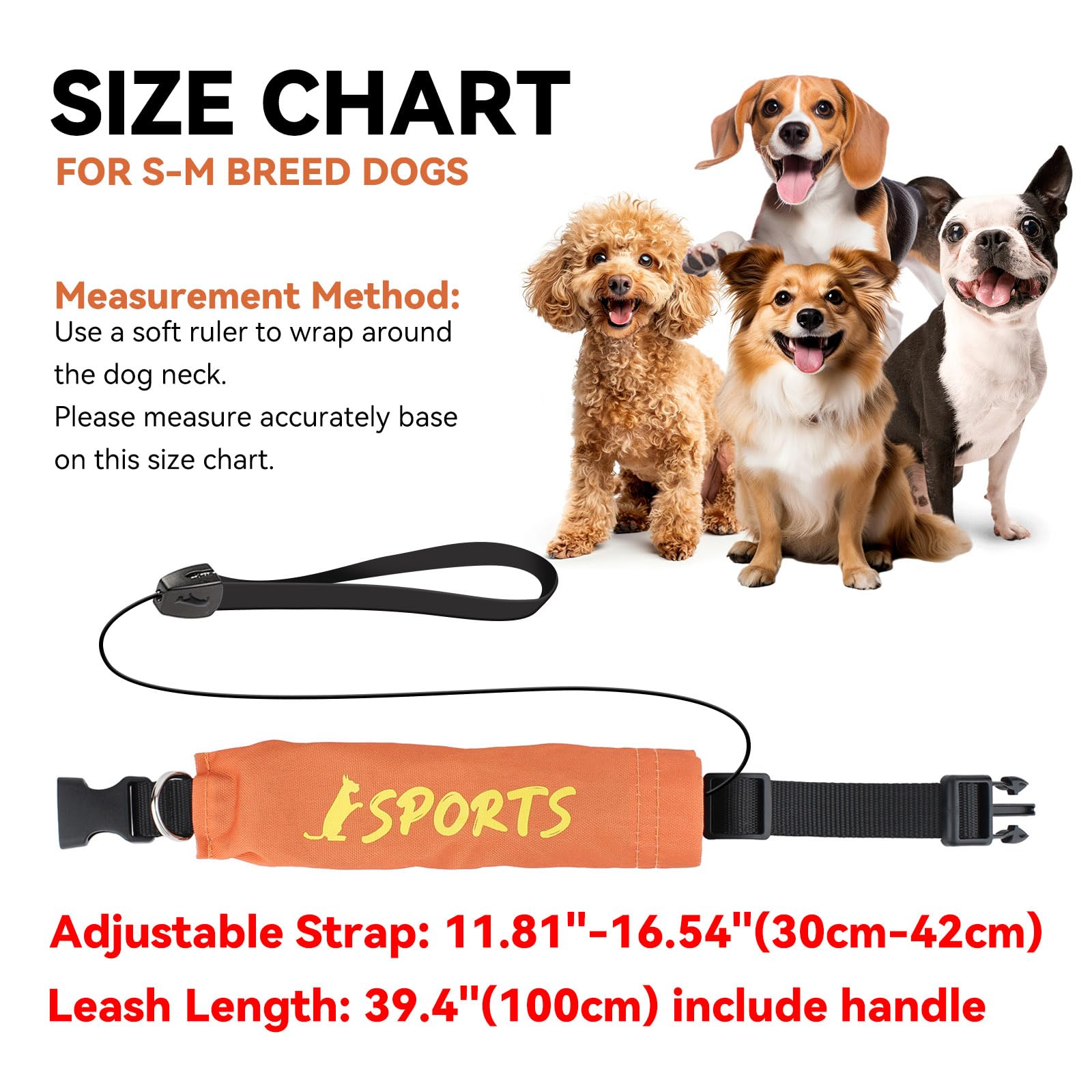 Namsan Retractable Dog Leash Collar For Small To Medium Dogs, Dog Collar With Retractable Leash Built-In, All-In-One, Adjustable