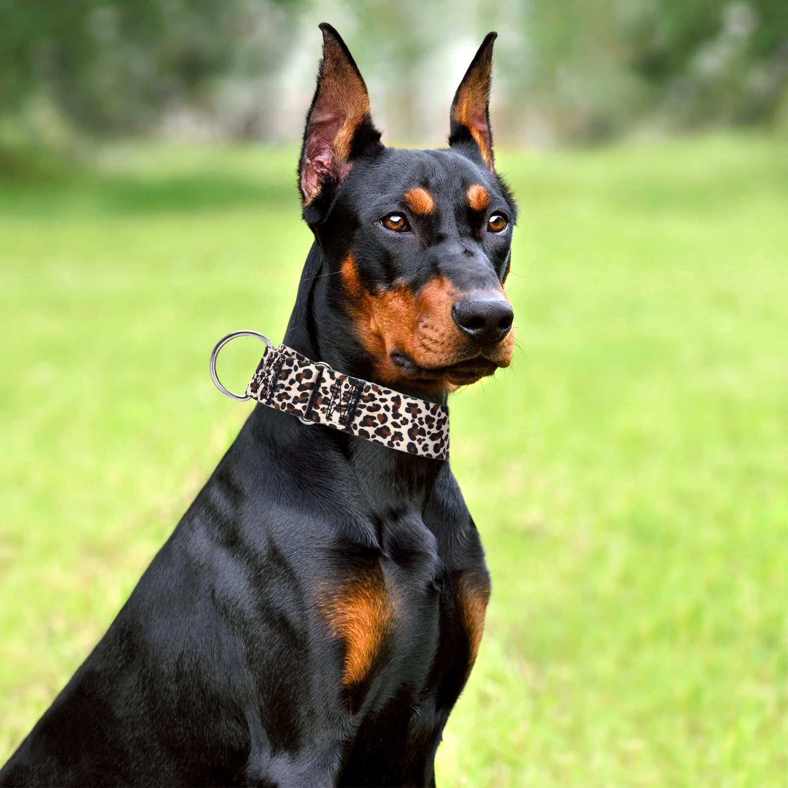 1.5 Inches Martingale Collar For Dogs,Adjustable Heavy Duty Training Collars With Blue African Tribal Mexican Native Boho Patter