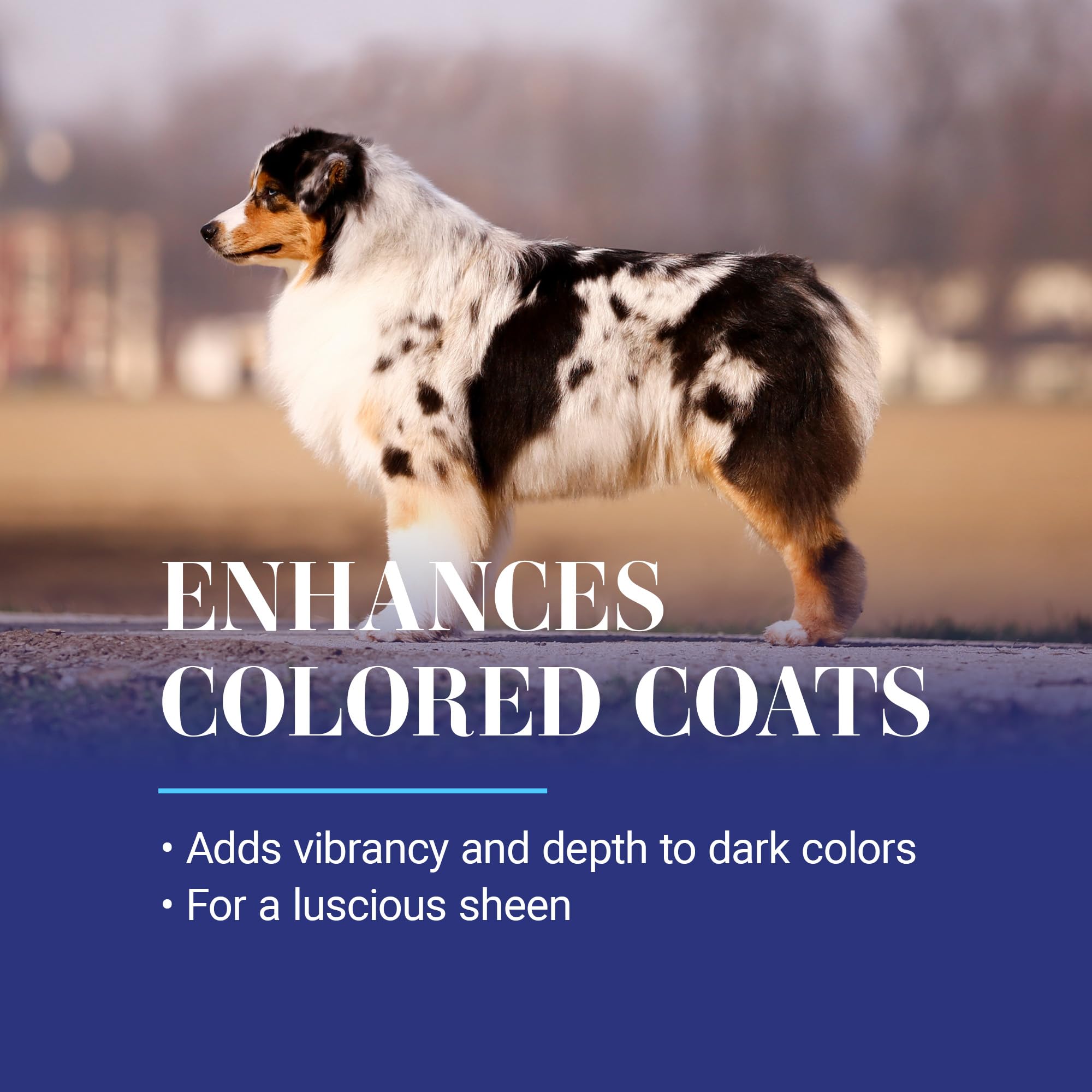 Chris Christensen White on White Whitening Treatment Dog Shampoo, Groom Like a Professional, Brightens White, Safely Removes Yel