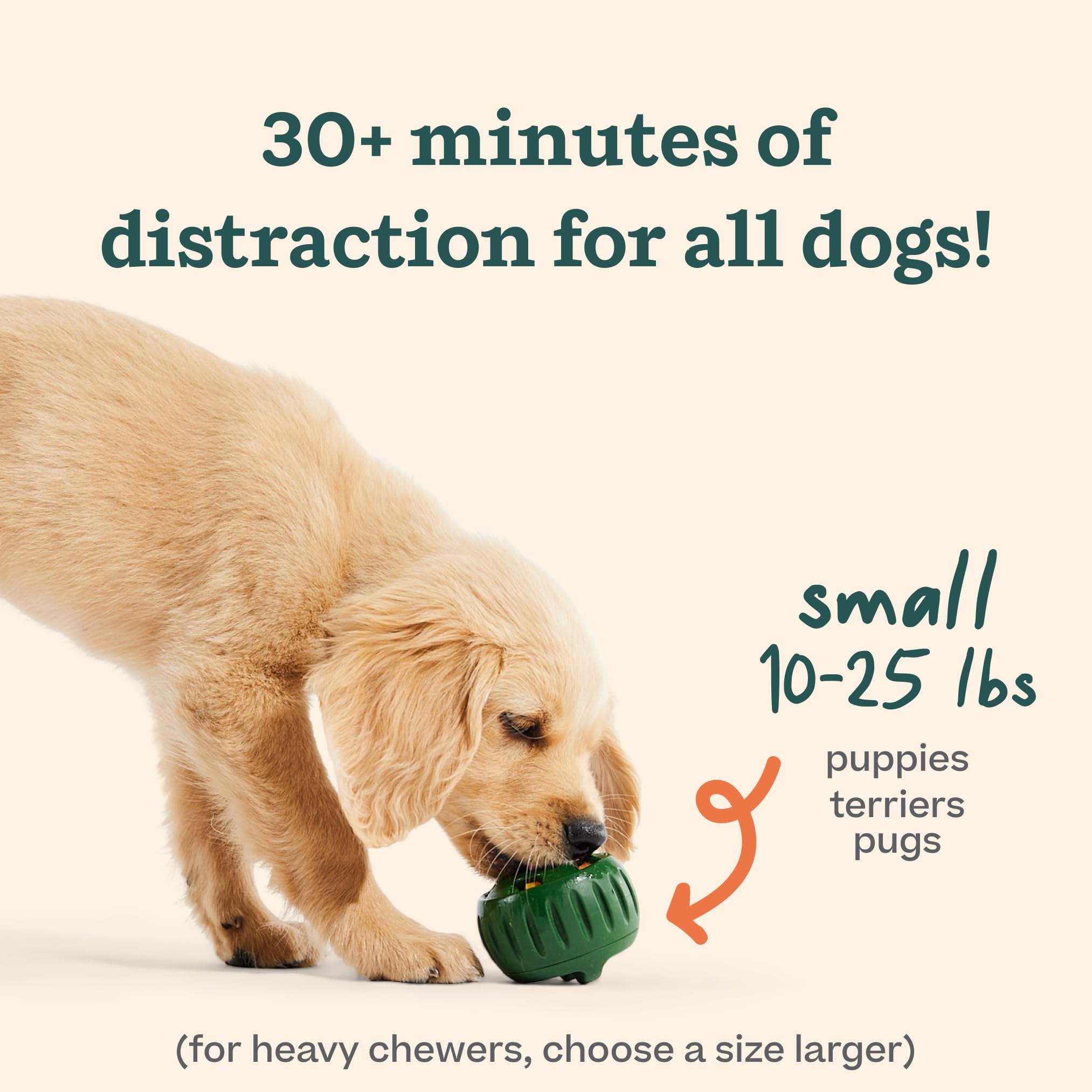 WOOF Starter Pack - Interactive Dog Toys for Boredom - Dog Treat Molds Silicone - Chicken-Flavored Healthy Dog Treats - Pupsicle