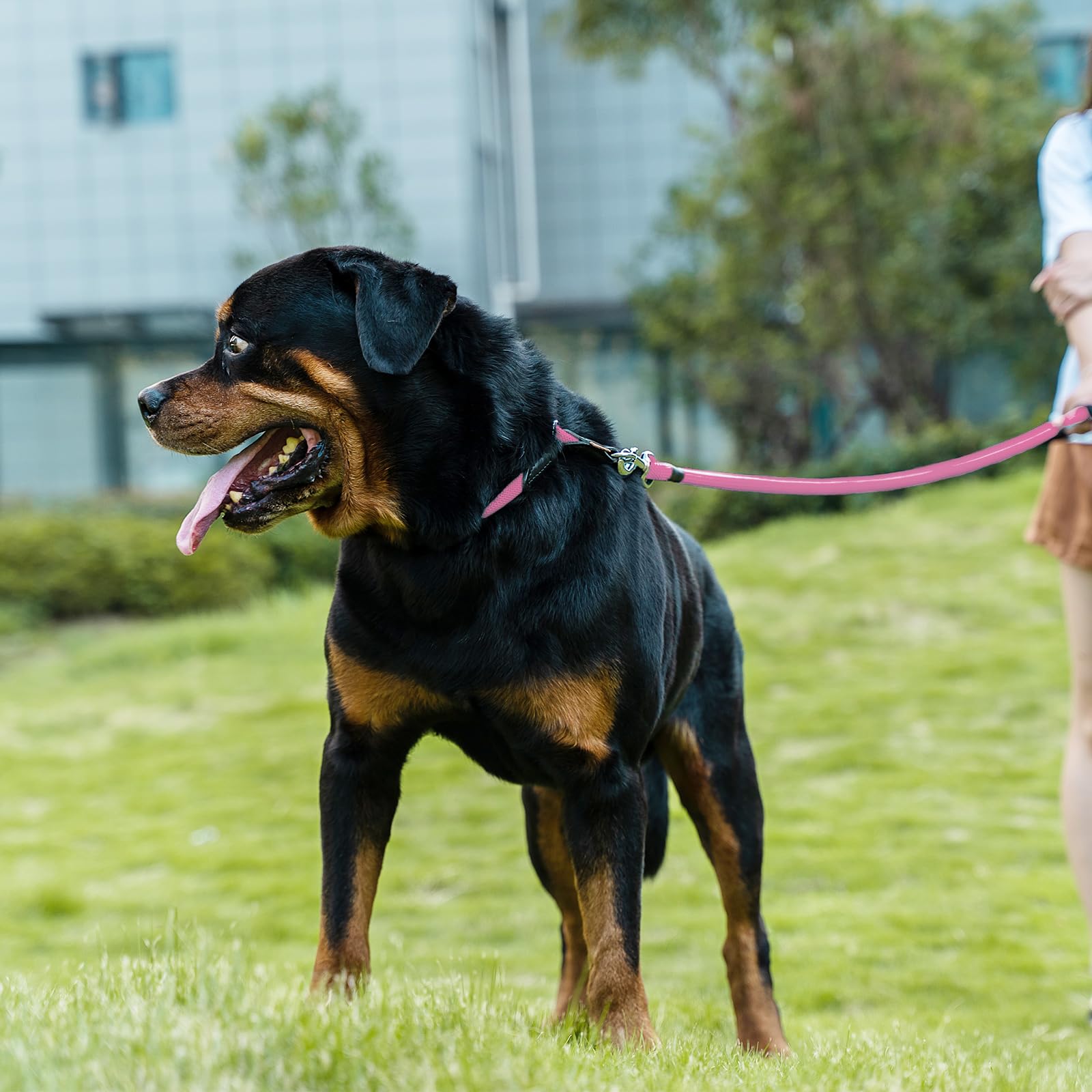 Aiminto Dog Leash, Braided Rope Traction - Walking Training Lead for Medium/Large Dogs ((1/2 '') x 2FT, Pink)