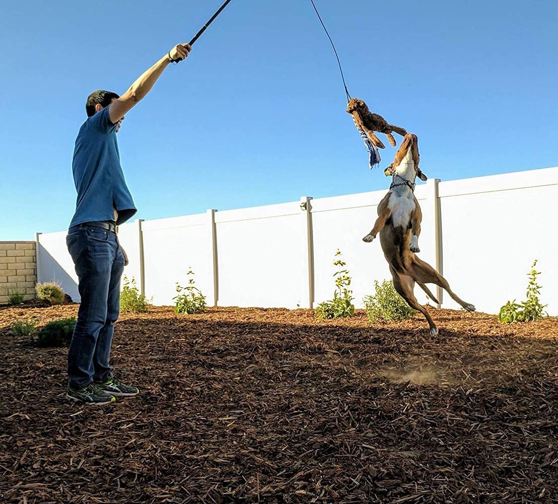 Amyese Interactive Dog Toys - Extendable Flirt Pole With 2Pcs Braided Rope Tugs For Dog Outdoor Entertainment, Train And Exercise, Blue, Size L