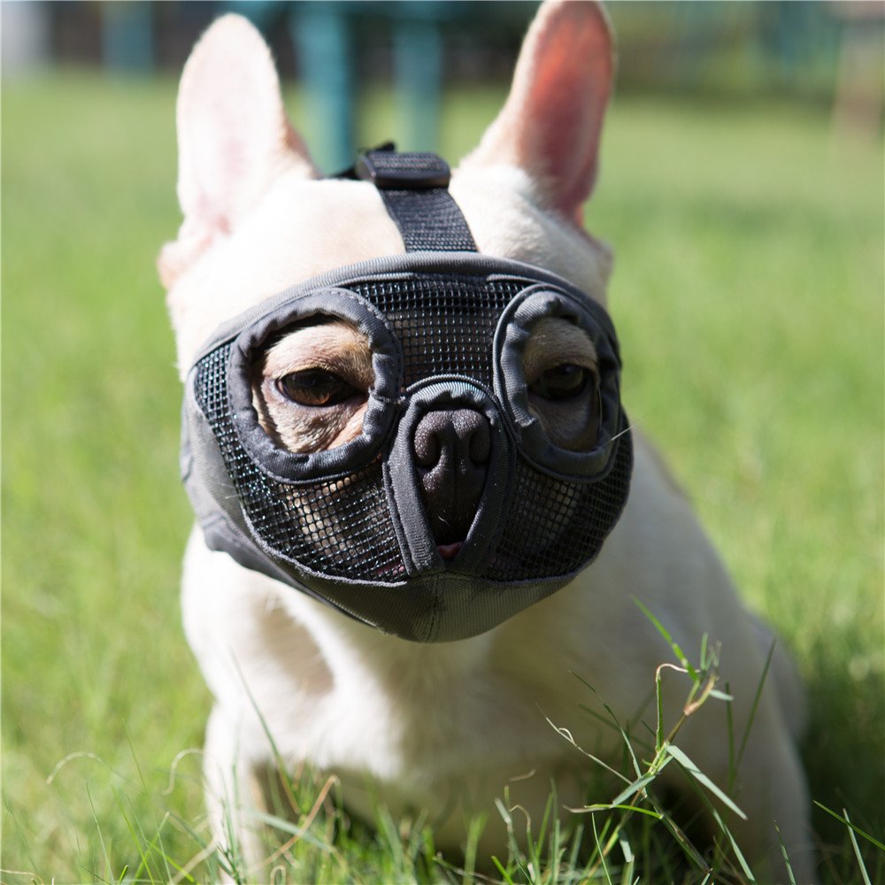 Jyhy Short Snout Dog Muzzle- Adjustable Breathable Mesh Bulldog Muzzle For Biting Chewing Barking Training Grooming Dog Mask,Grey(Eyehole) M