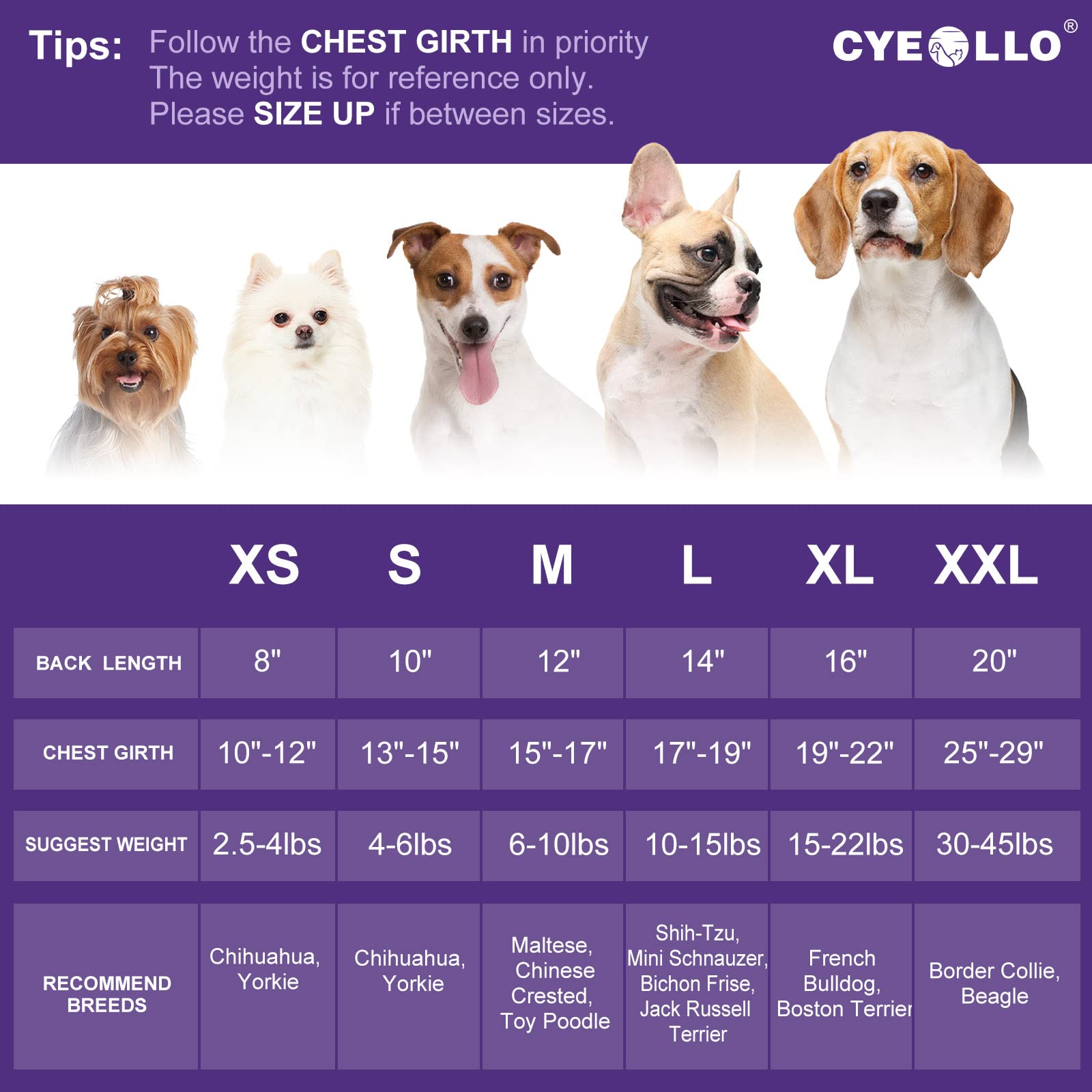 Cyeollo Halloween Dog Dress Boo Cute Leopard Print Pumpkin Holiday Outfit Clothes Girl Party Tulle Dog Dresses For Small Dogs