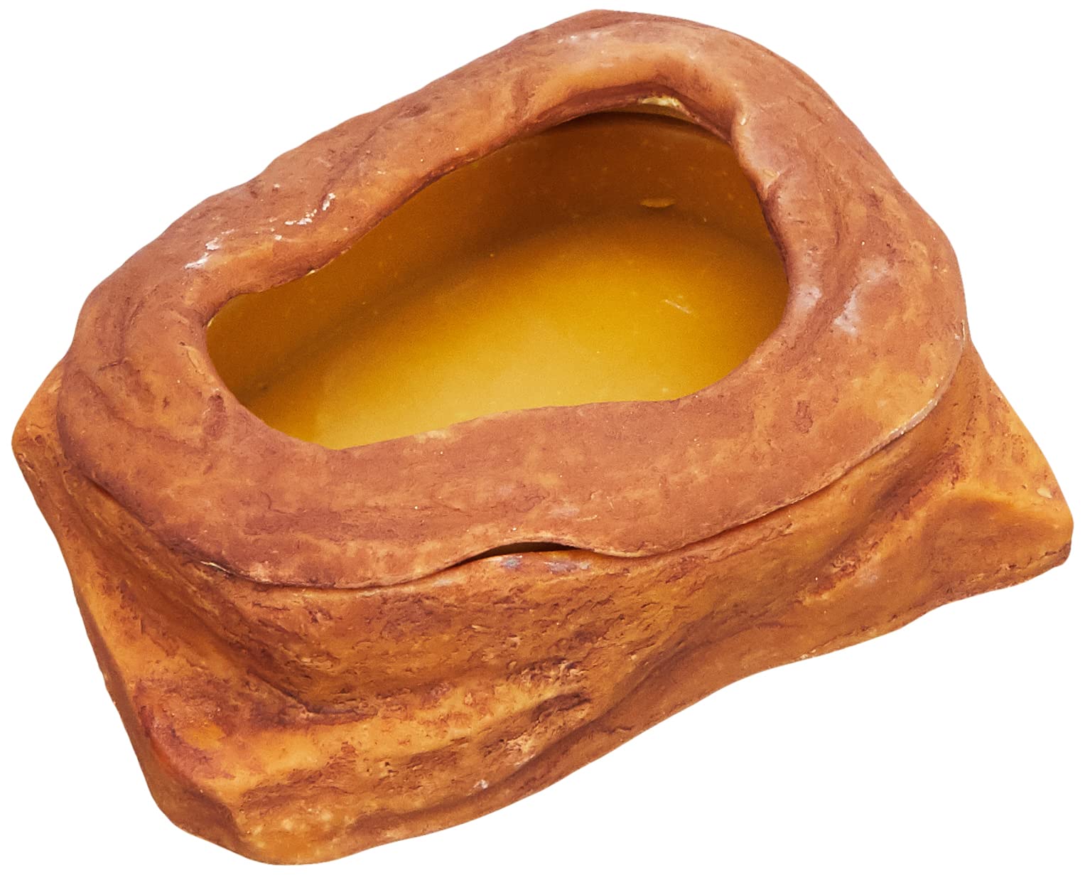 Exo Terra Worm Dish Mealworm Feeder Medium (Pack of 1)