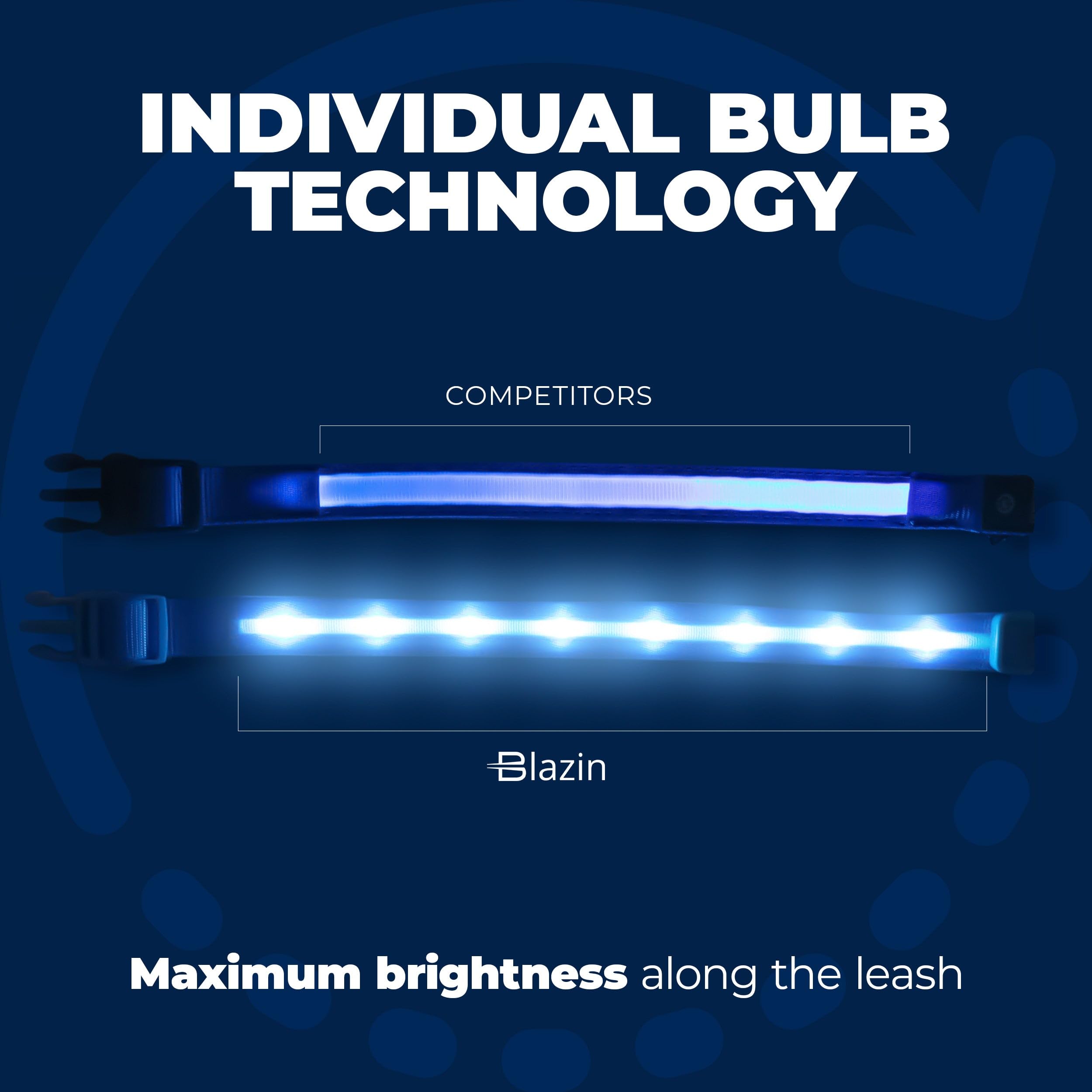 Blazin' Safety Led Dog Leash - Usb Rechargeable Flashing Light, 6 Ft, Water Resistant - Avoid Danger - Blue