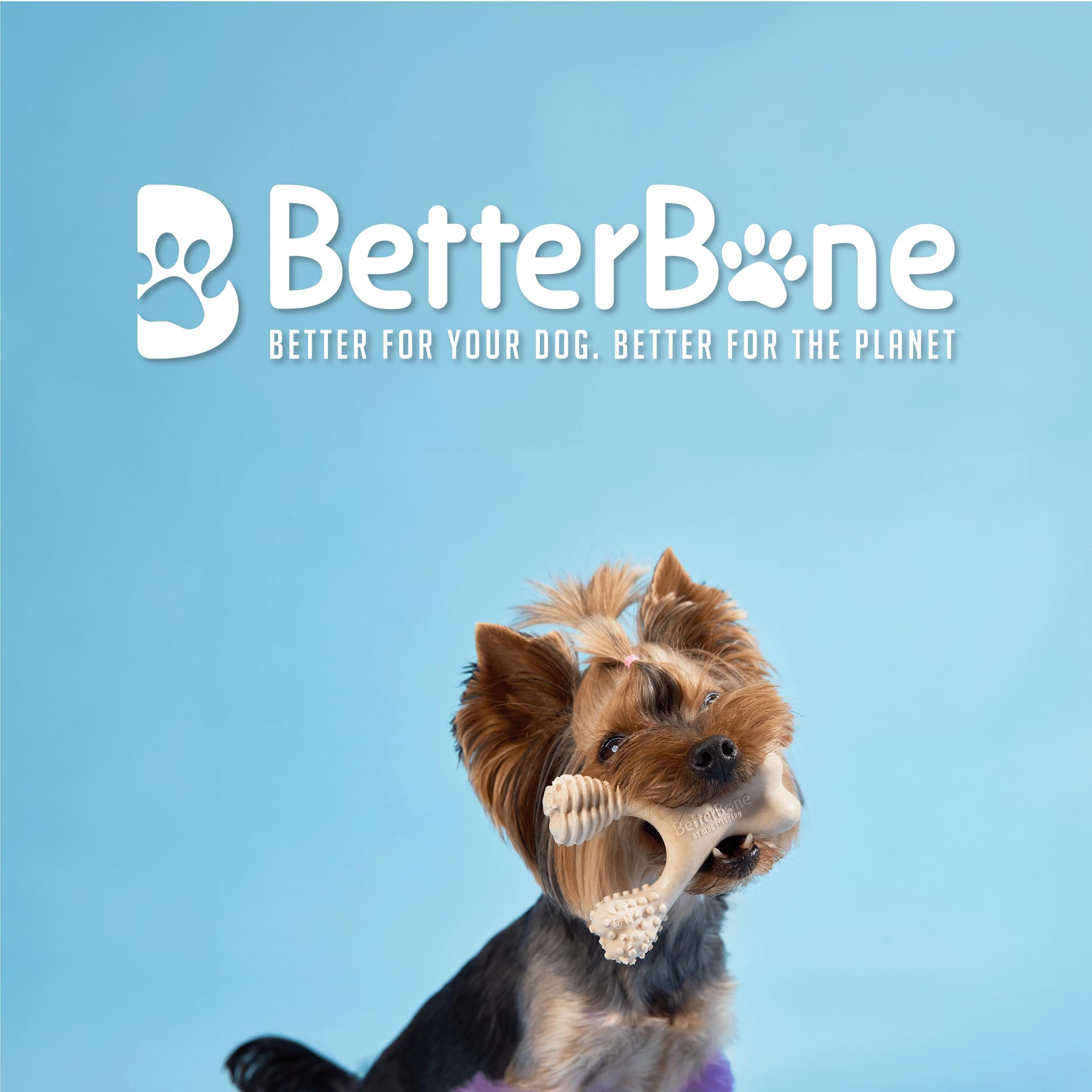 BetterBone - All-Natural, Nylon-Free Dog Chew Toys - Soft Density - Ideal for Light to Moderate Chewers - Non-Toxic, Promotes De