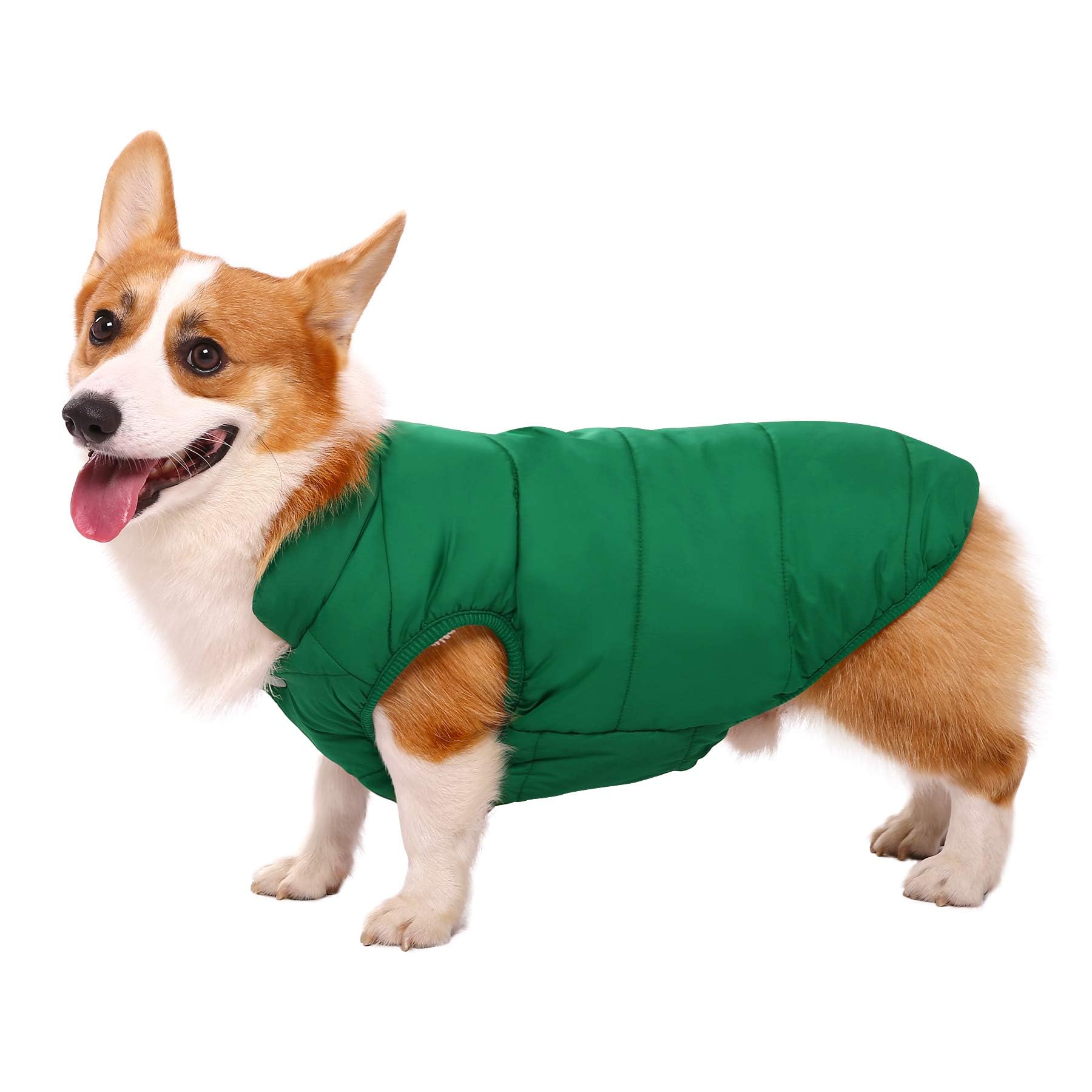Asenku Windproof Dog Winter Coat - Waterproof Jacket With 2 Layers Fleece Lined For Small To Large Dogs (S, Green)