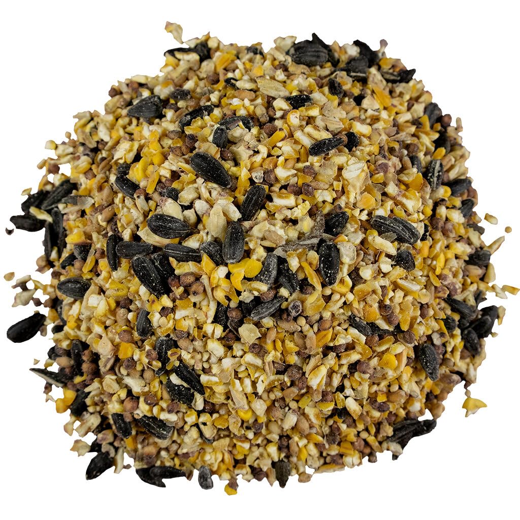 Bird Pro Classic Bird Seed (40 Pounds, Everyday Economy)