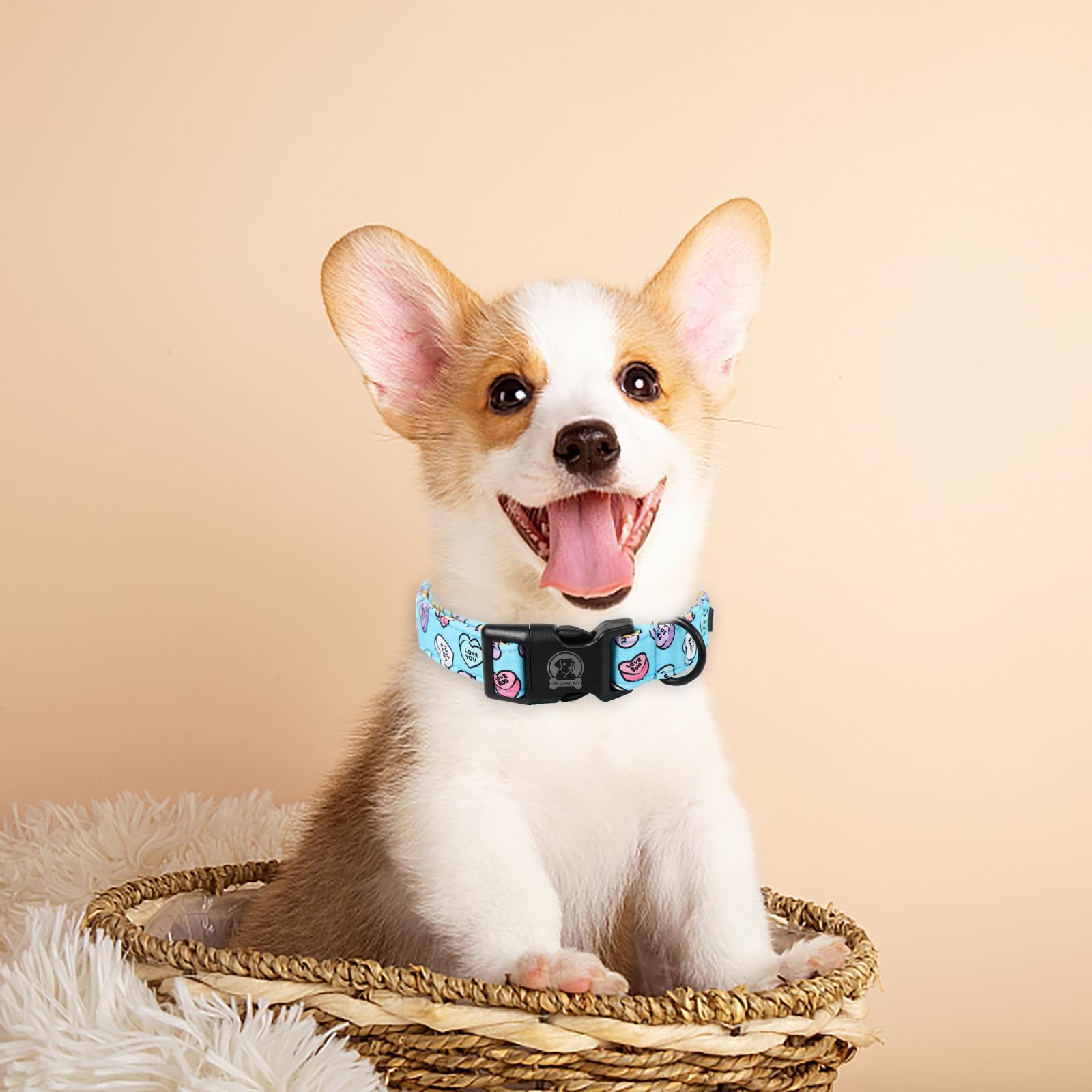 Mr. Chubbyface Valentines Dog Collar,Cute Blue Love Heart Cotton Dog Collar, Adjustable Valentine Girl Female Male Pet Collars W