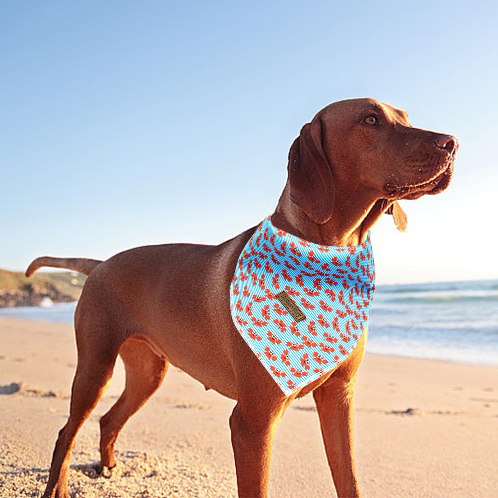 Lionheart Glory Blue Stripe Dog Bandana 1 Pack Washable Soft Dog Scarf, Square Adjustable Dog Bandanas For Small Medium Ogs, N:C