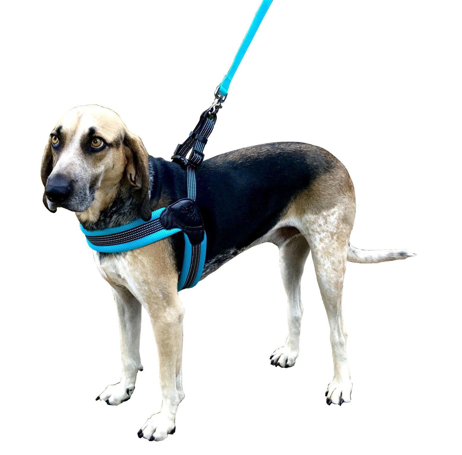 Sporn Easy-Fit Mesh Dog Harness Large Sized Dog, Turquoise Soft Fabric Nylon No Choke Dog Harness Large Size Dog, Breathable & Easy Dog Walking Harness, Provides To X-Large Breeds