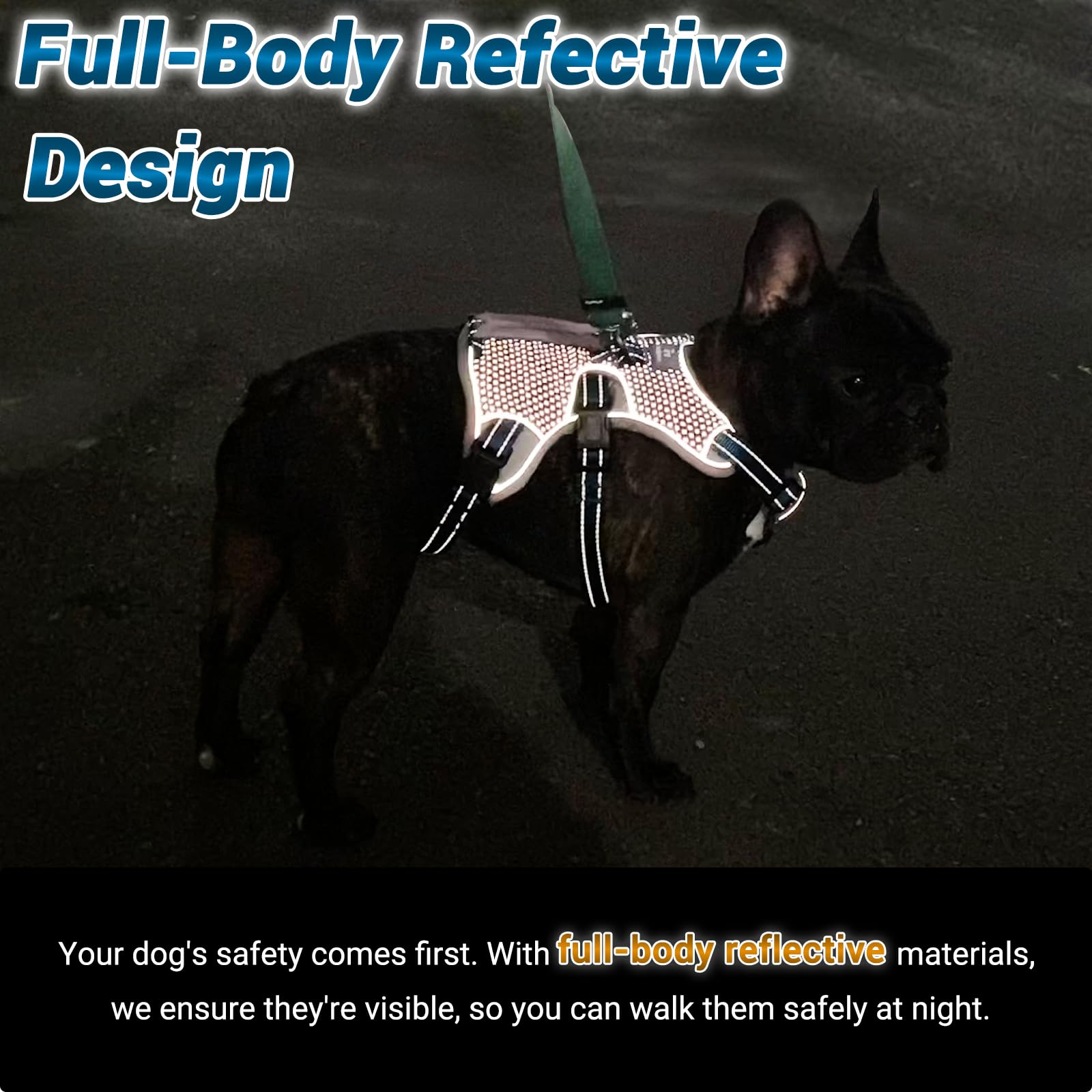 Belpro Multi-Use Support Dog Harness, Escape Proof No Pull Reflective Adjustable Vest With Durable Handle, Dog Walking Harness For Big/Active Dogs (Black, S)