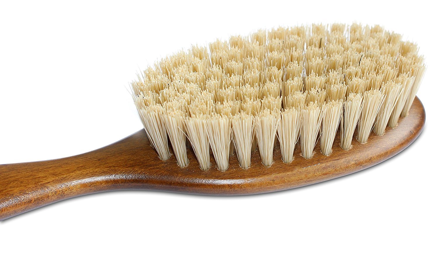 Mars Coat King Bristle Cat Hair Brush Deshedding Tool - Pet Grooming Supplies For Furry, Shaggy, Loose Hair In All Breeds, Wooden Handle For Thick Coats - ¾' Bristles, 2' Wide Head