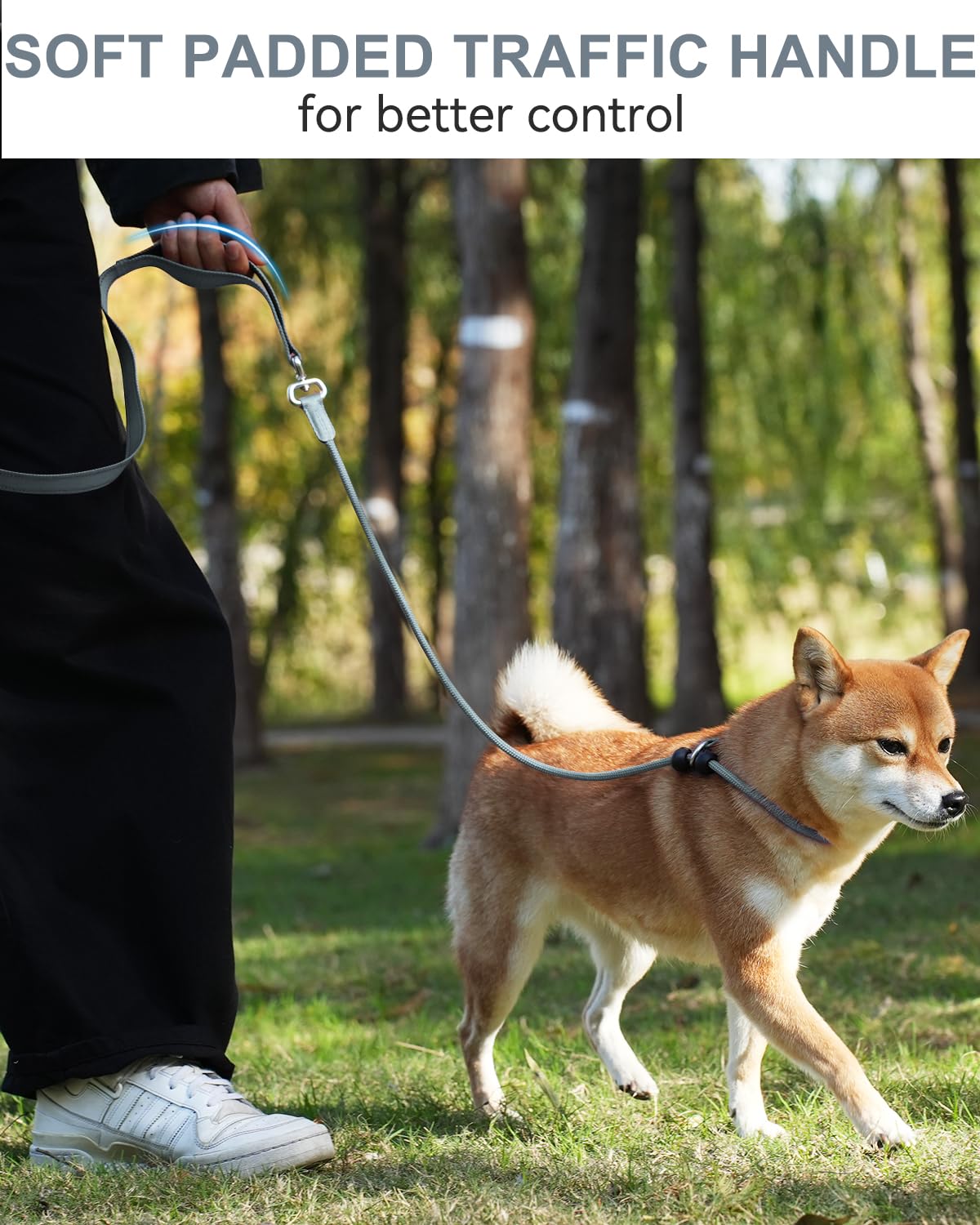 Joytale Tangle-Free Slip Leads For Dogs, 6 Ft Slip Leash With Padded Double Handle, Reflective Nylon Training Leash For Small Me