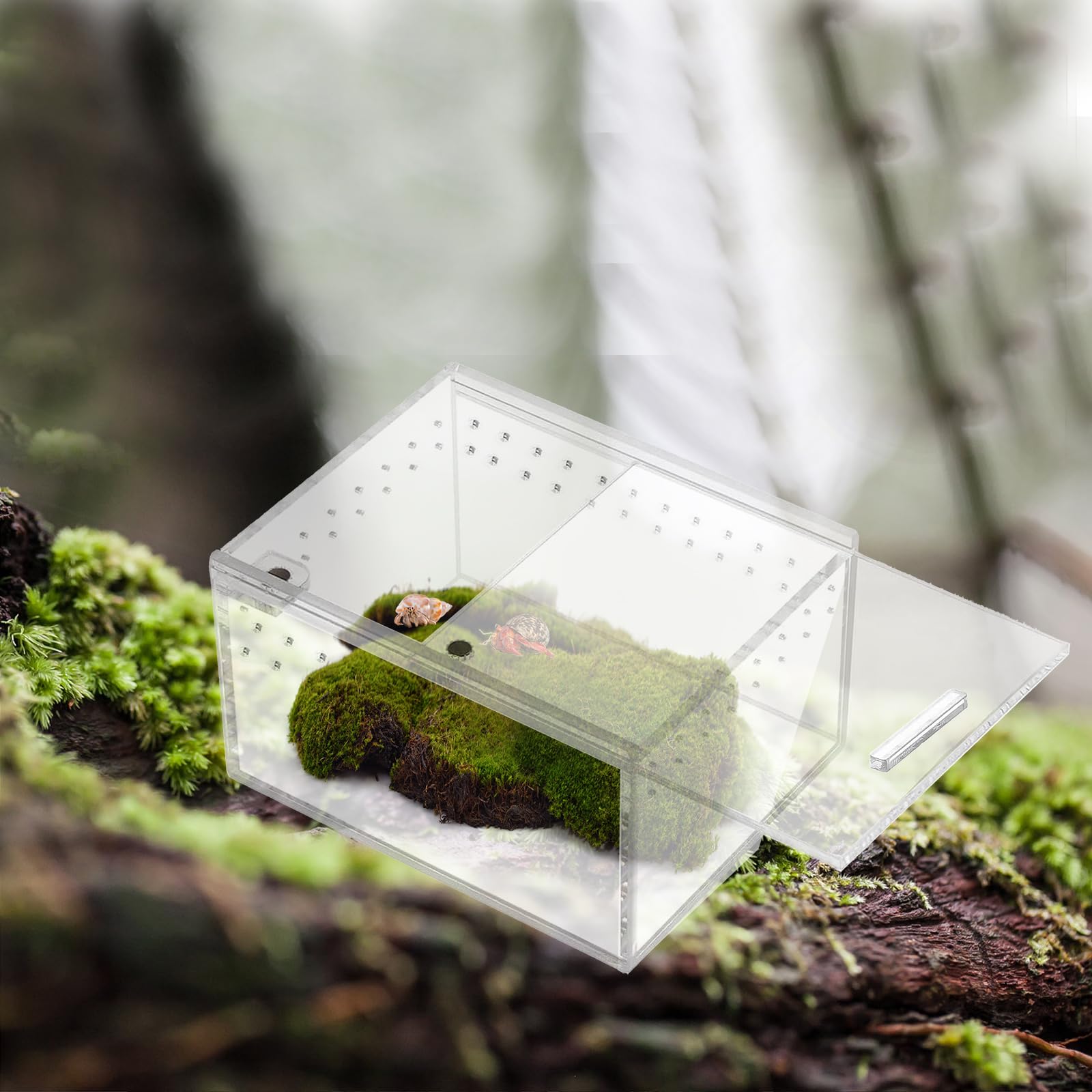 Magnetic Acrylic Jumping Spider Enclosure Clear Reptile Terrarium Insect Enclosure Reptile Breeding Box Micro Insect Habitat Car
