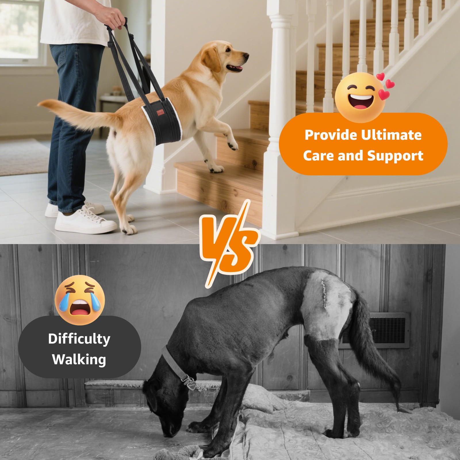 Loobani Portable Dog Sling For Back Legs, Hip Support Harness To Help Lift Rear For Canine Aid Old K9 Cruciate Ligament Rehabili