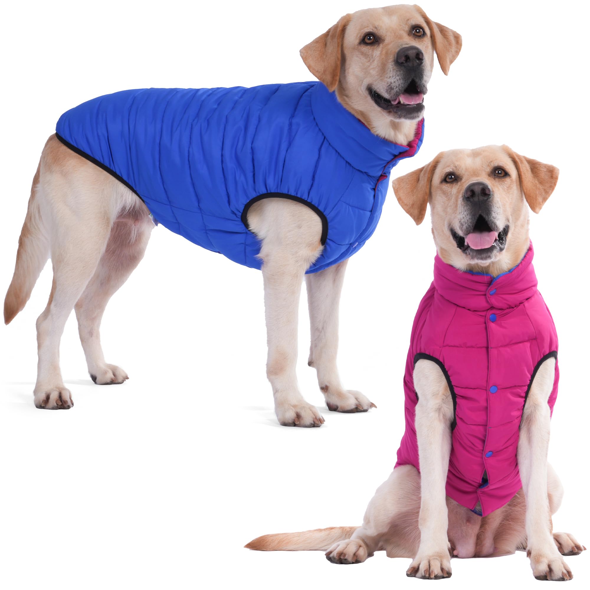 Lovinpet Dog Winter Jacket - Reversible Medium & Large Down Coat, Snap Button Down Jacket, Windproof, Snowproof & Waterproof, Du