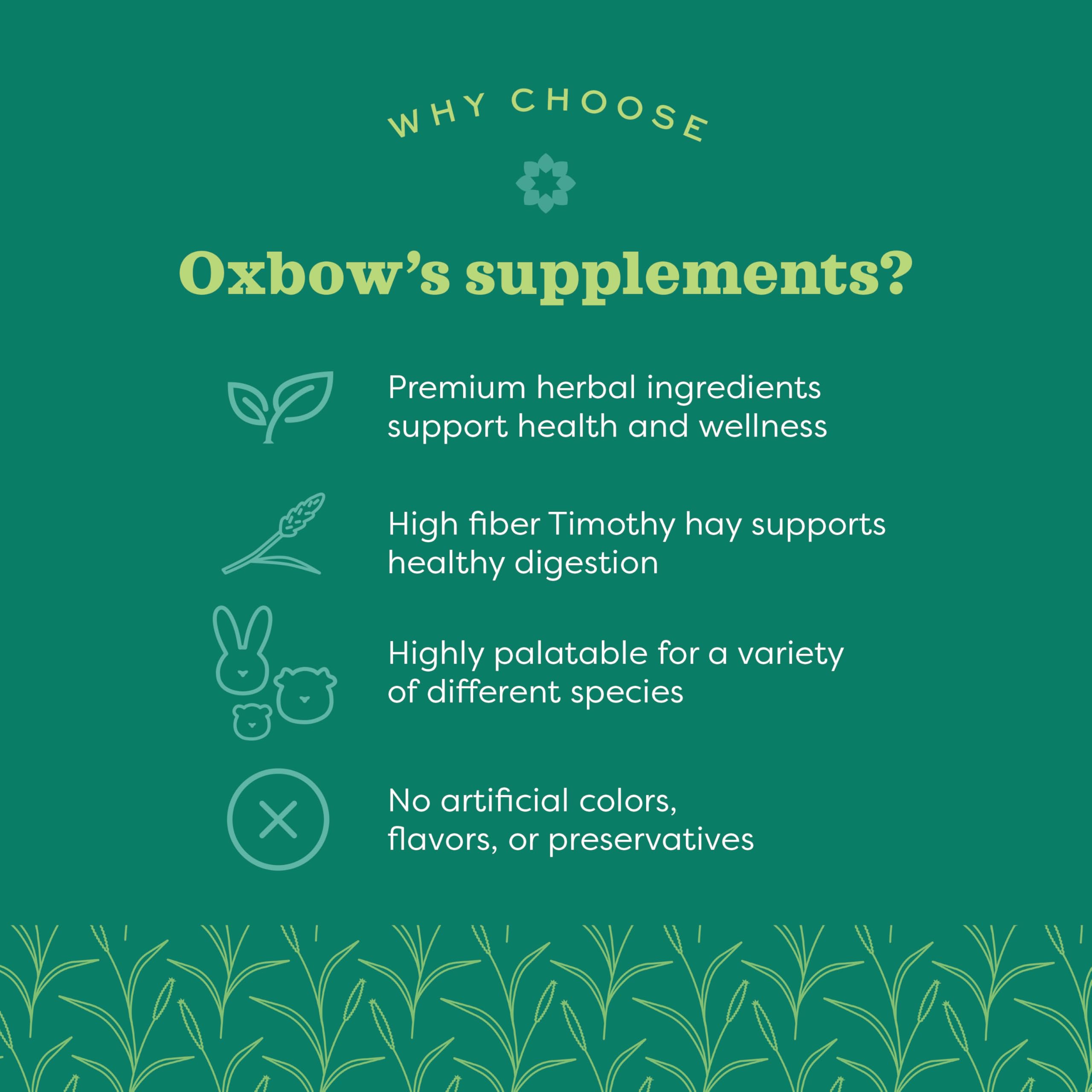 Oxbow Papaya Support - High Fiber Digestive Health for Small Animals, 1.16 oz, Model PHL448164