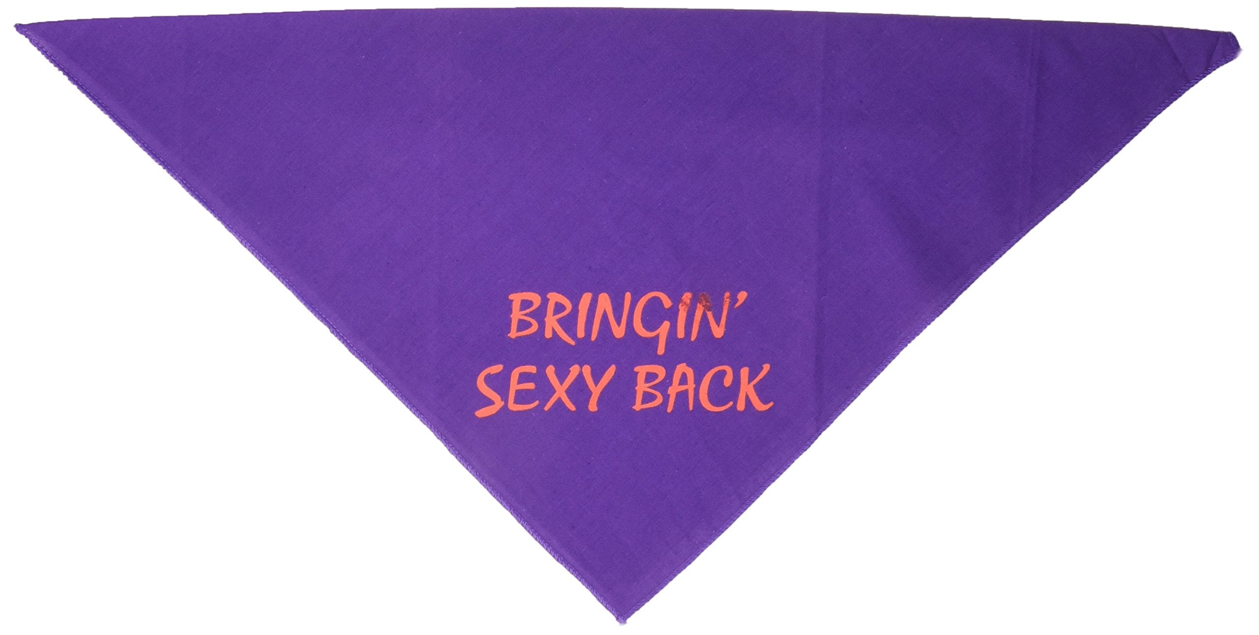 Mirage Pet Products Bringin Sexy Back Screen Print Bandana for Pets, Small, Purple